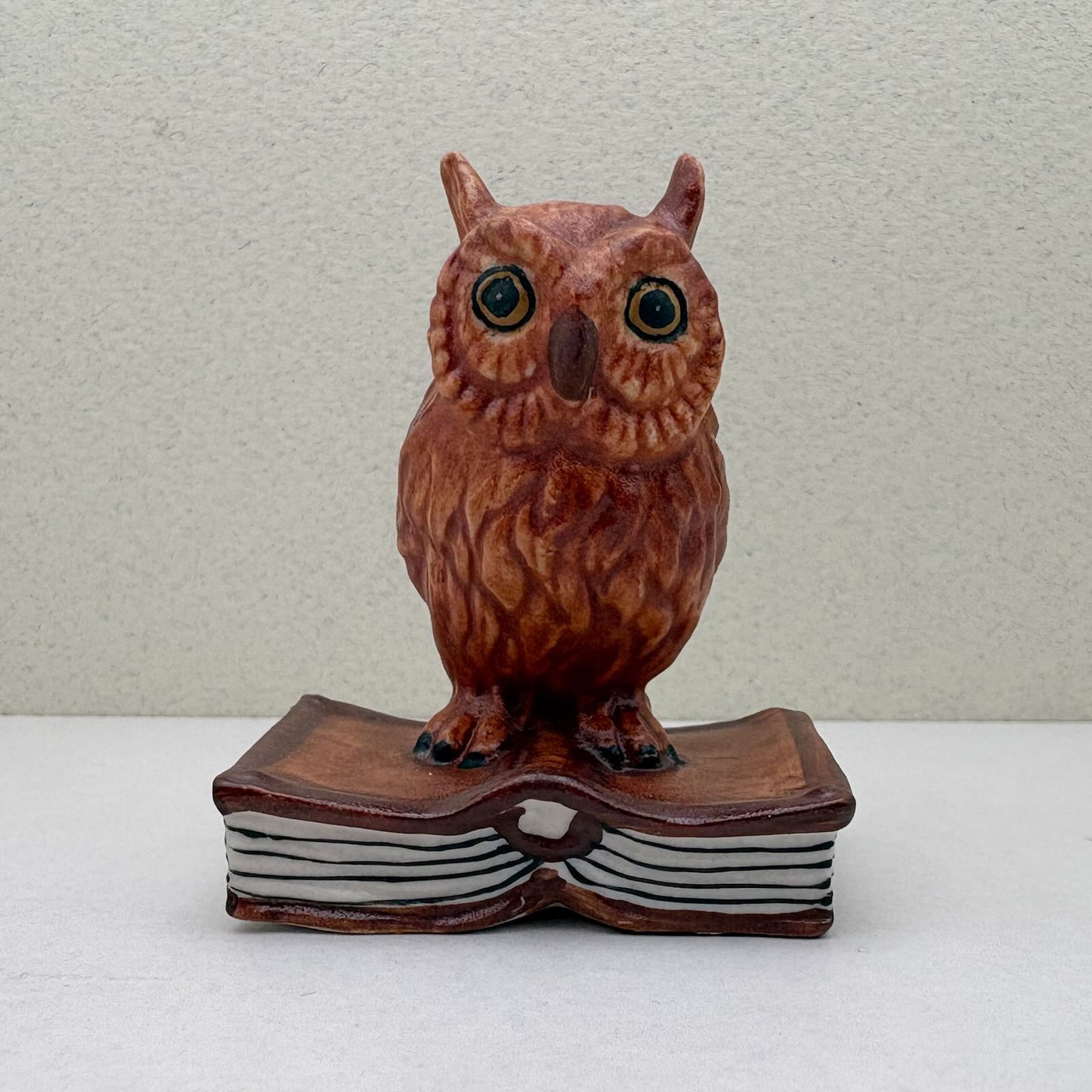 Matte Wise Owl Ceramic Figurine on Book