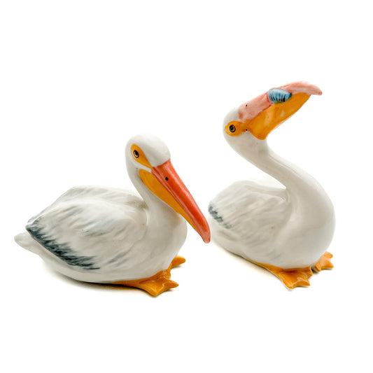 2 Pelican Birds