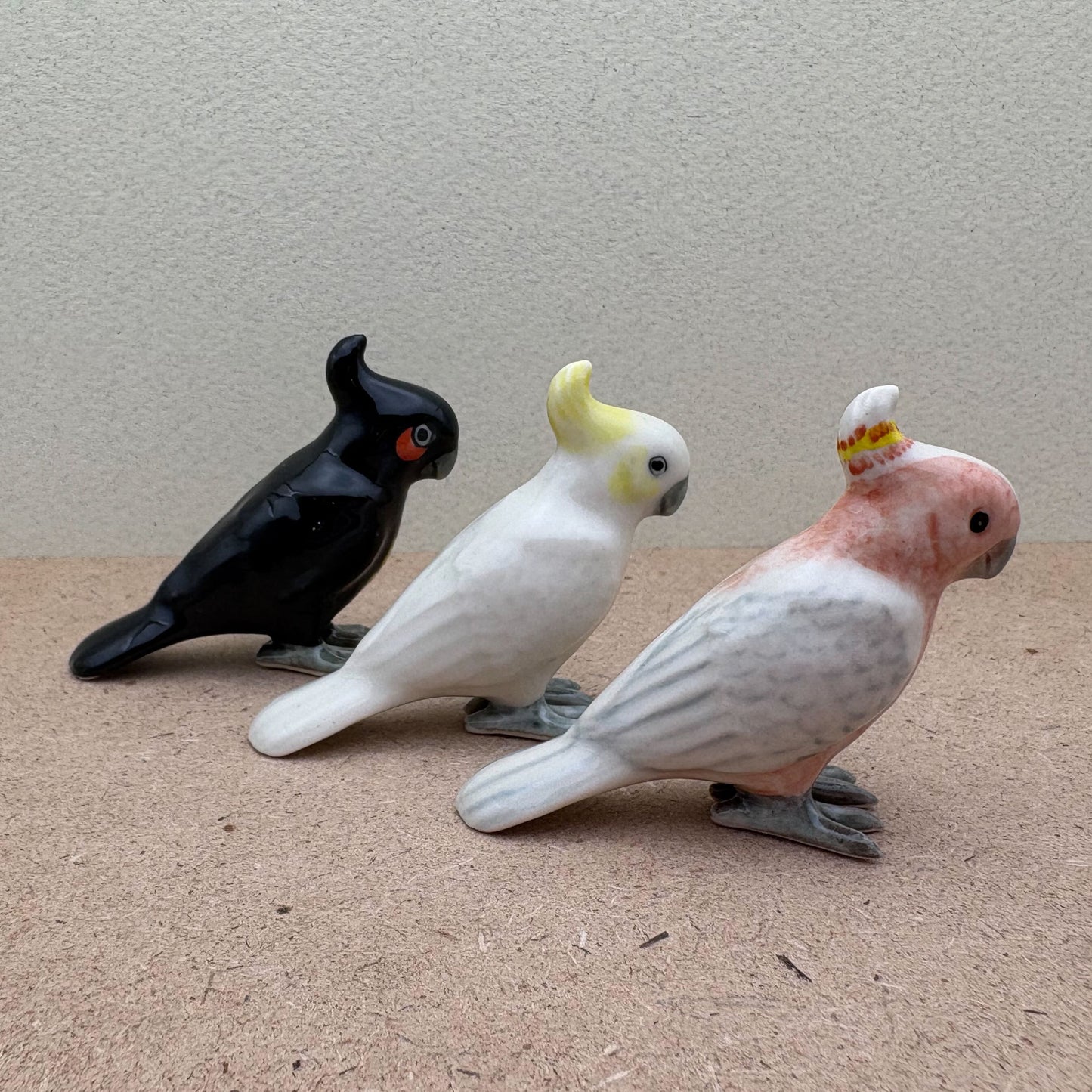 Cockatoo Birds
