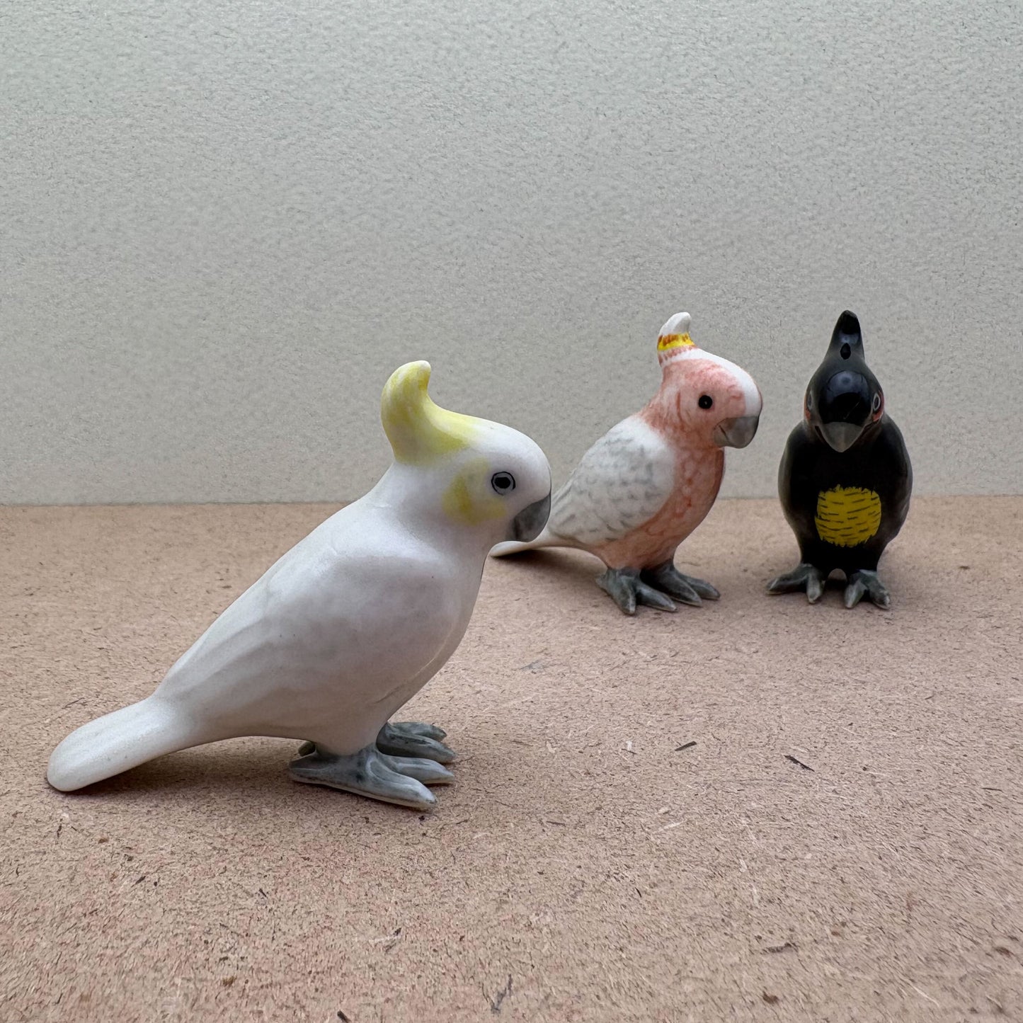 Cockatoo Birds