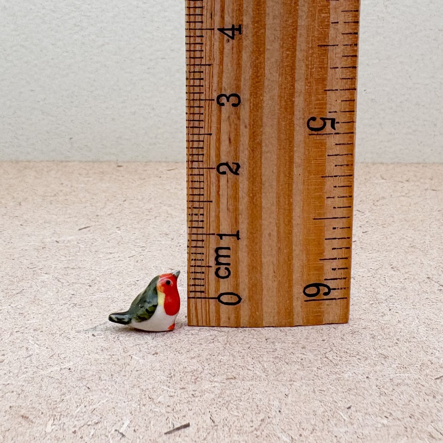 Tiny Robin