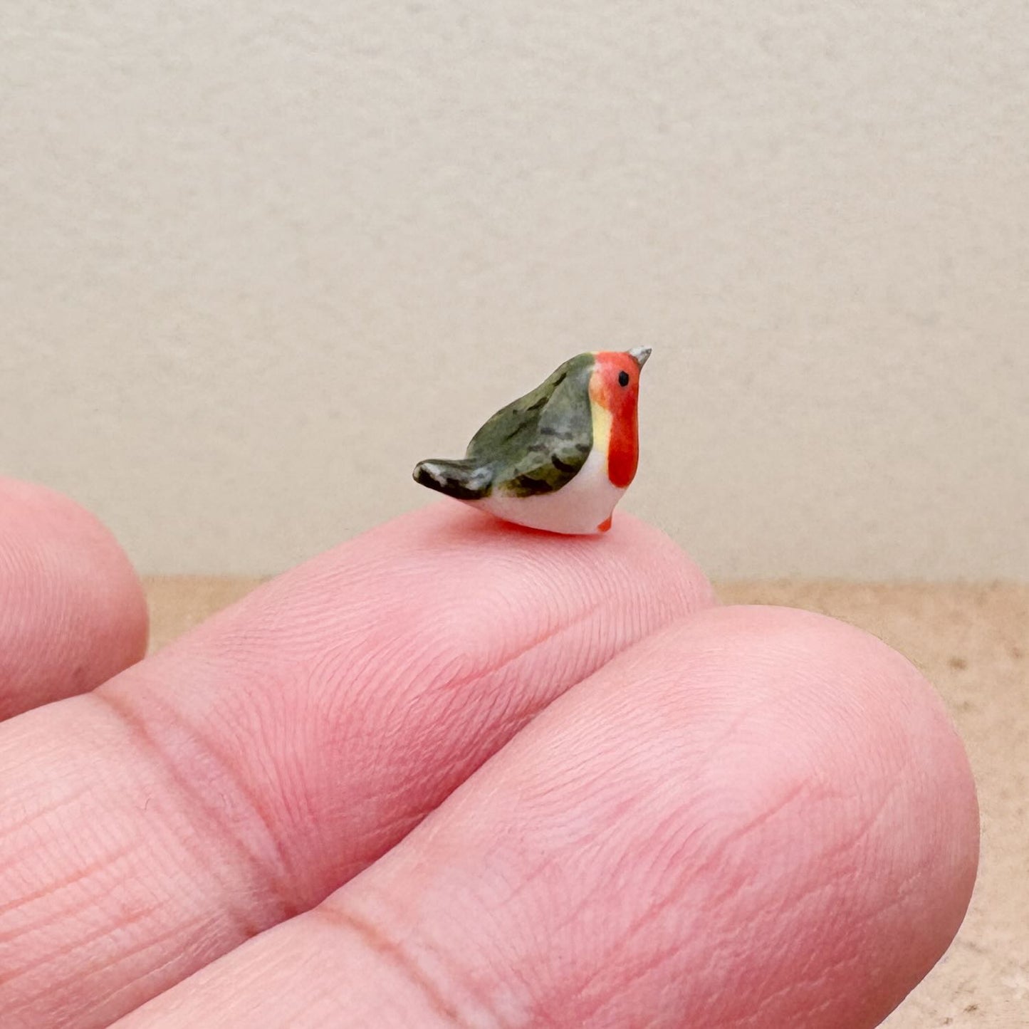 Tiny Robin
