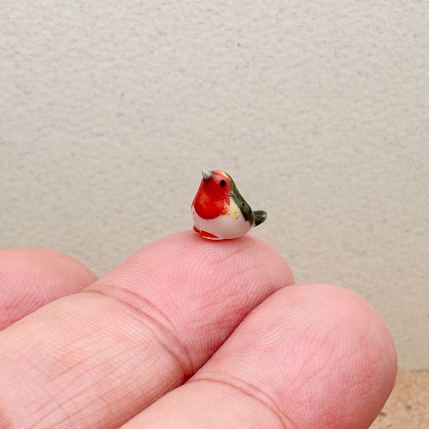 Tiny Robin