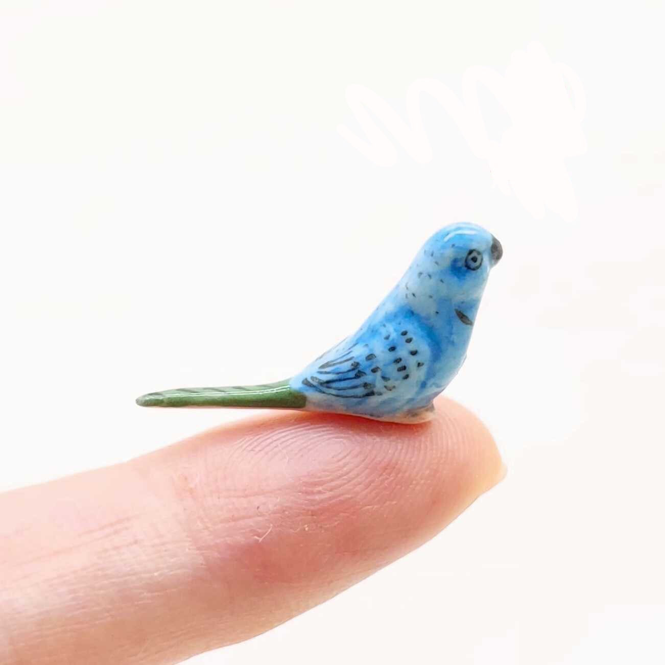 Tiny Budgerigar Budgies Parakeet Bird