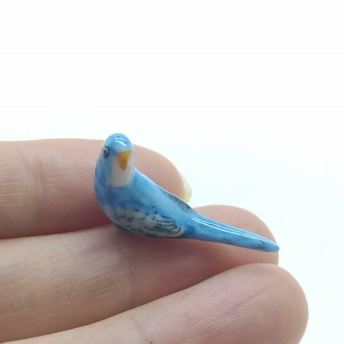 Tiny Budgerigar Budgies Parakeet Bird