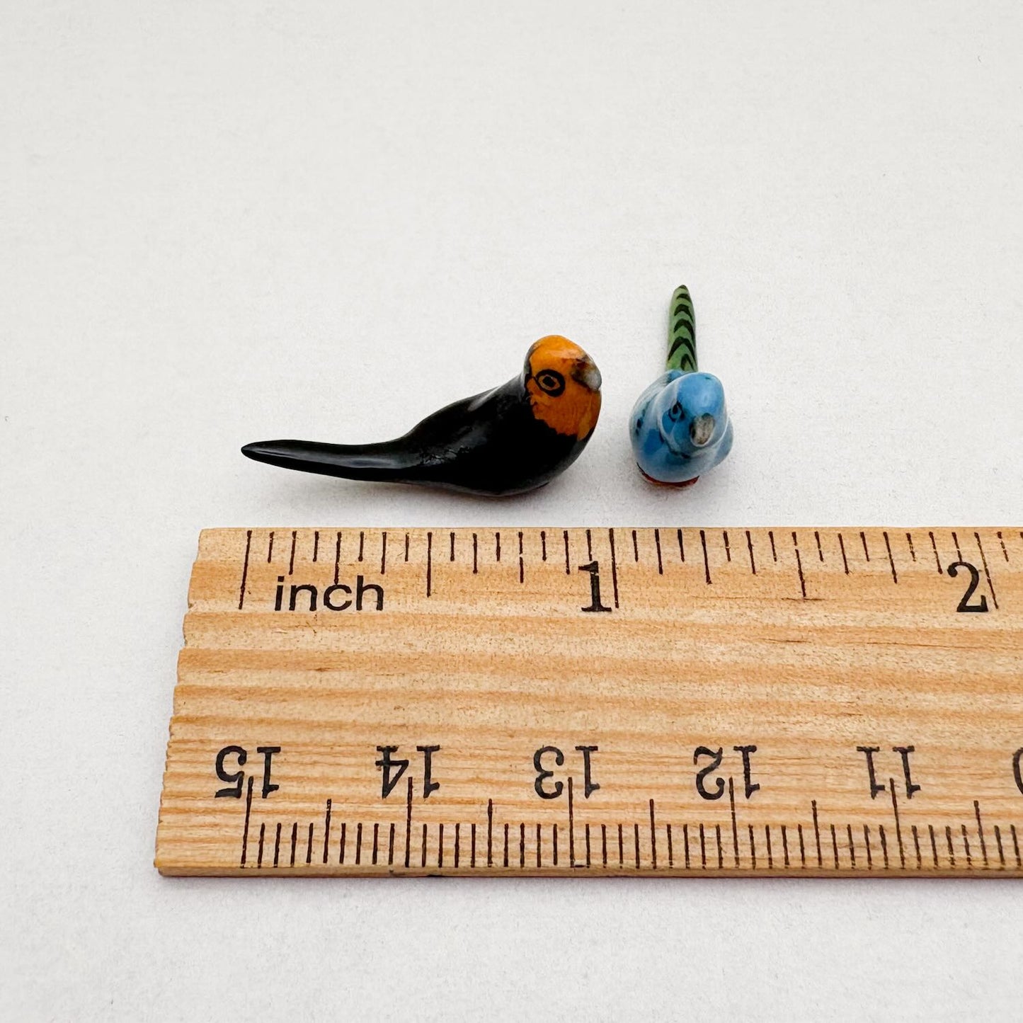 Mini Budgerigar