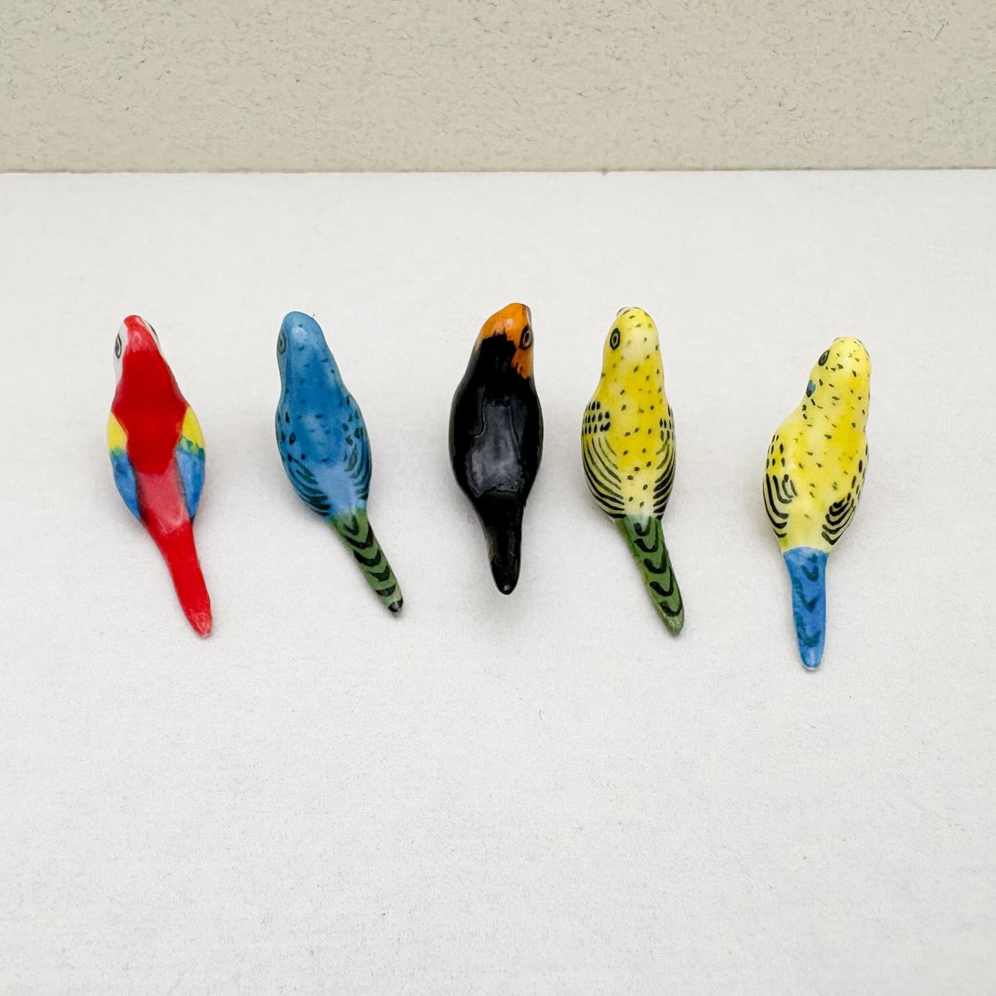 Mini Budgerigar