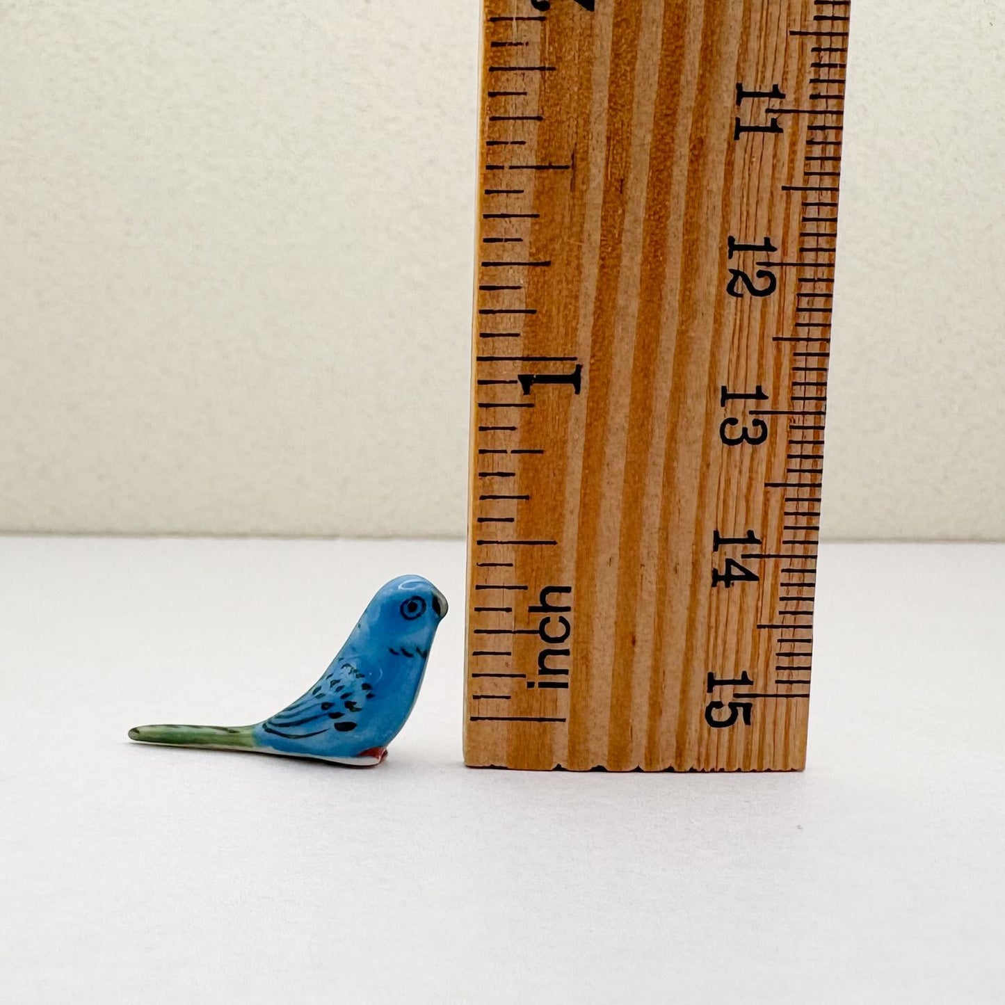 Mini Budgerigar
