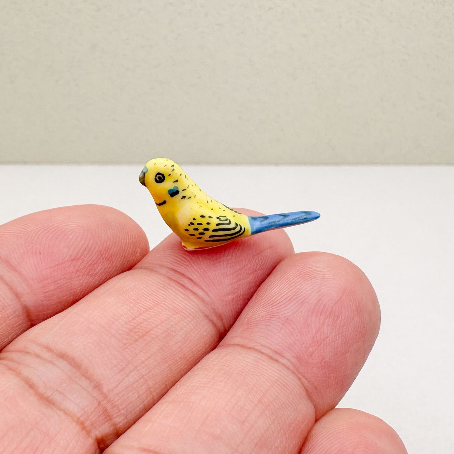 Mini Budgerigar