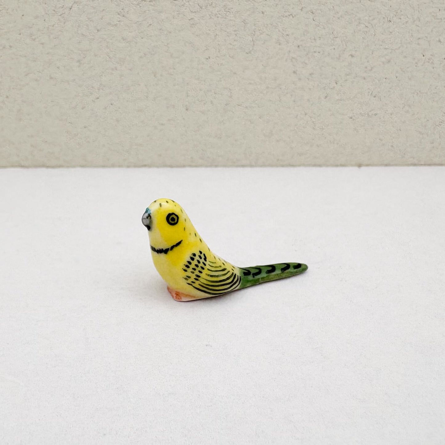 Mini Budgerigar