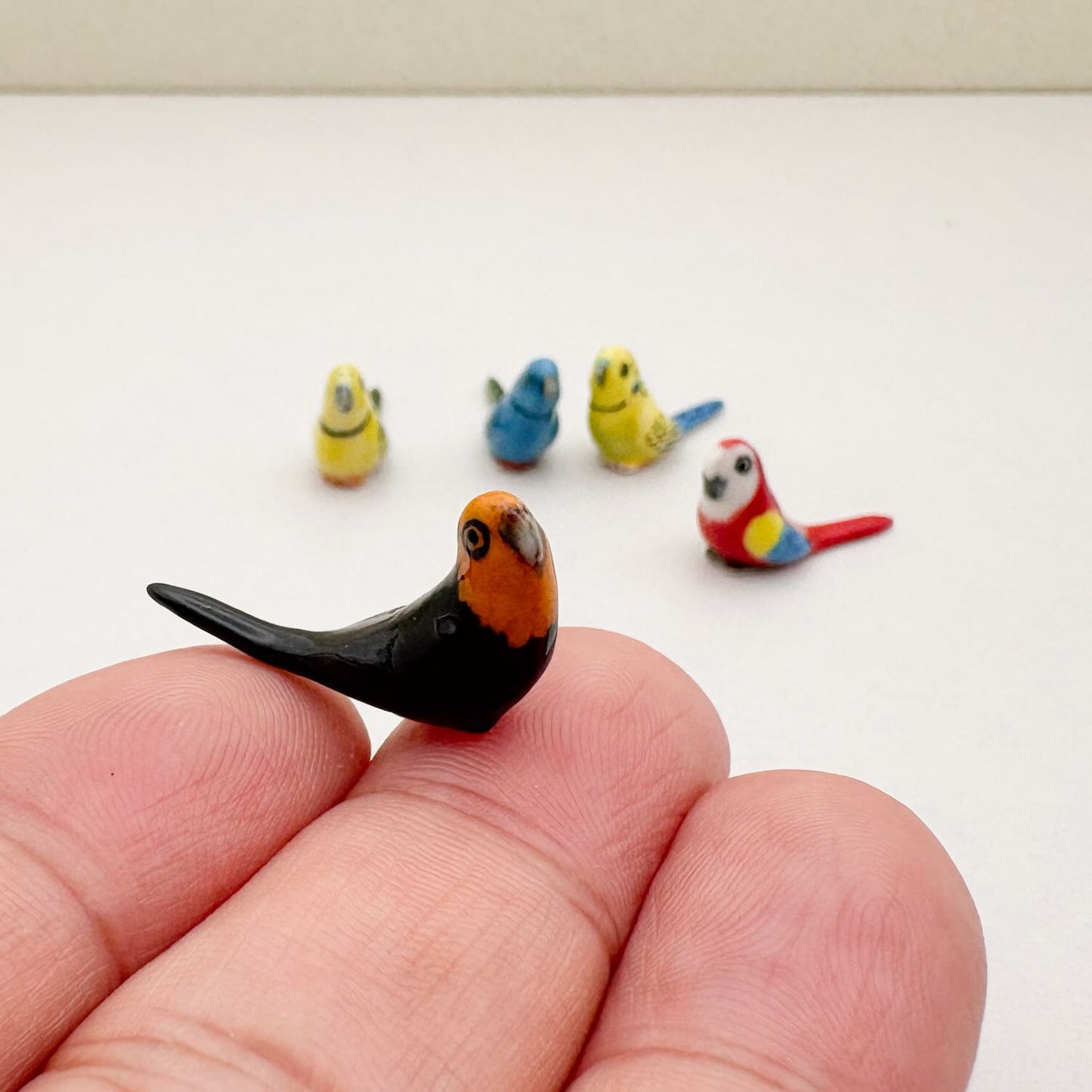 Mini Budgerigar