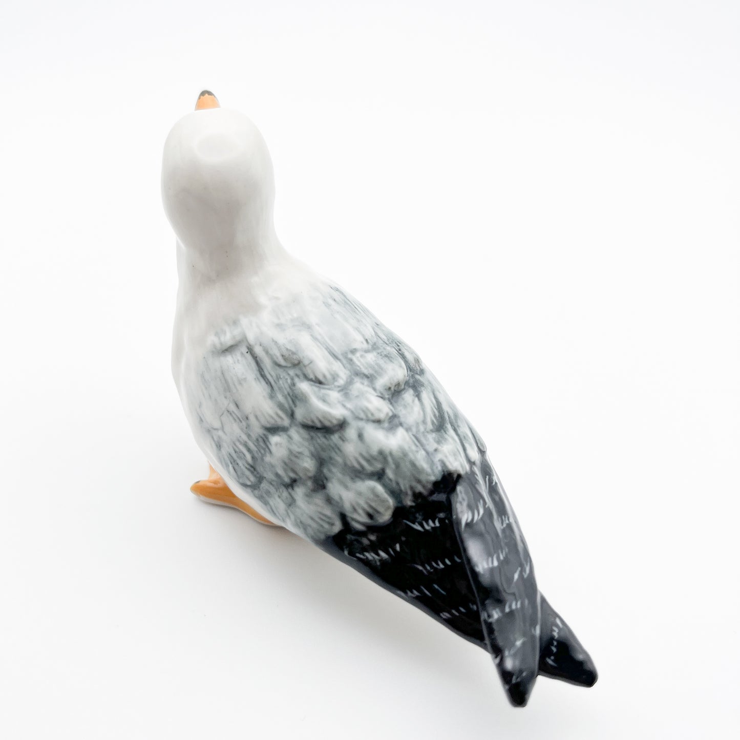 Seagull