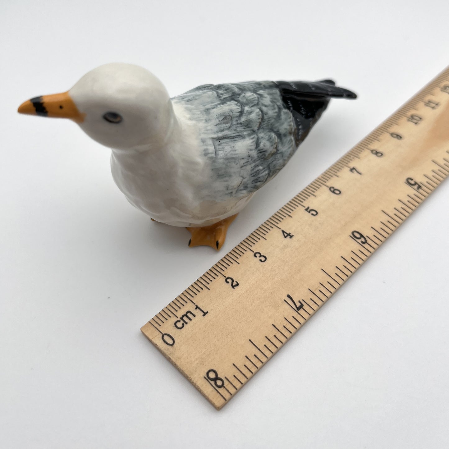 Seagull
