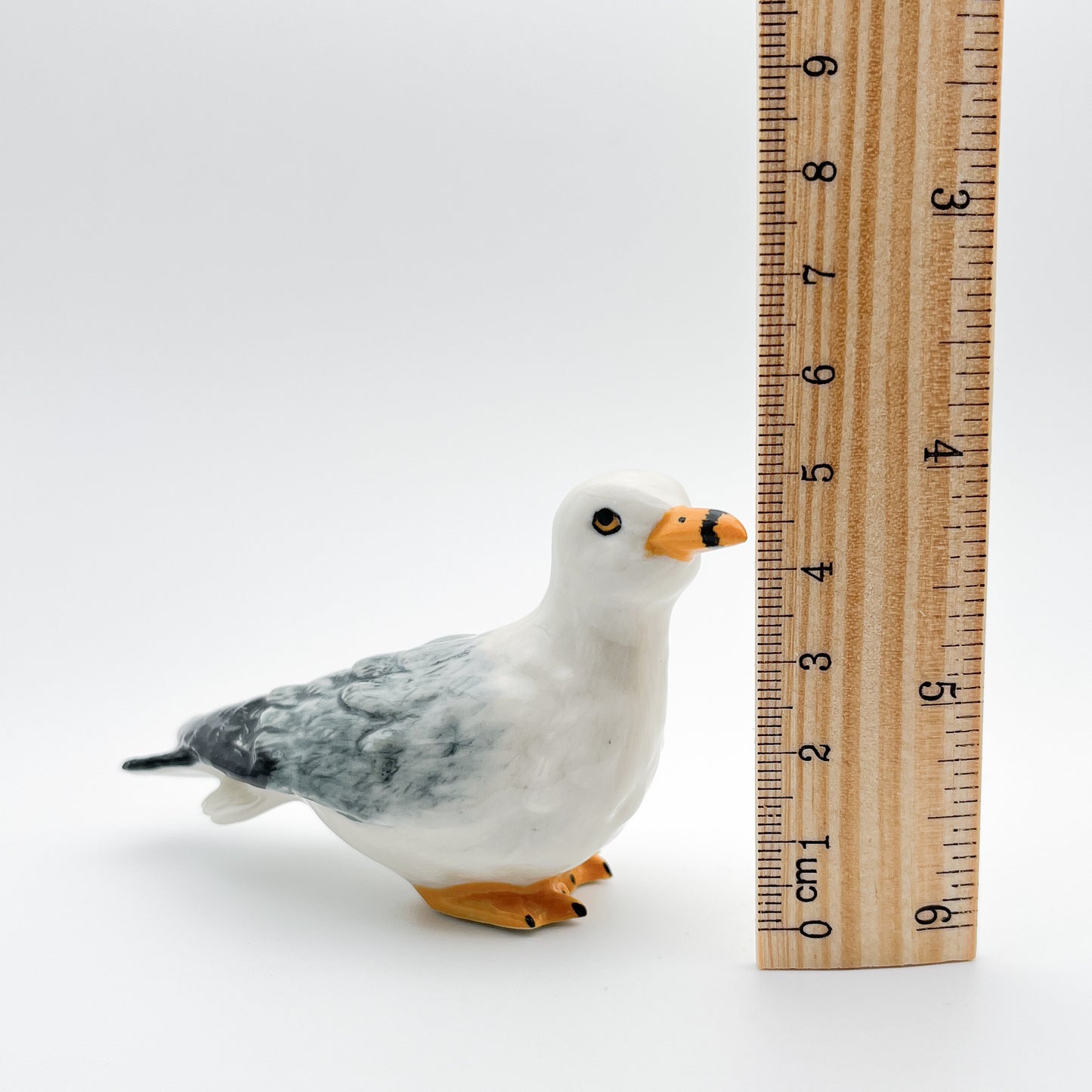 Seagull
