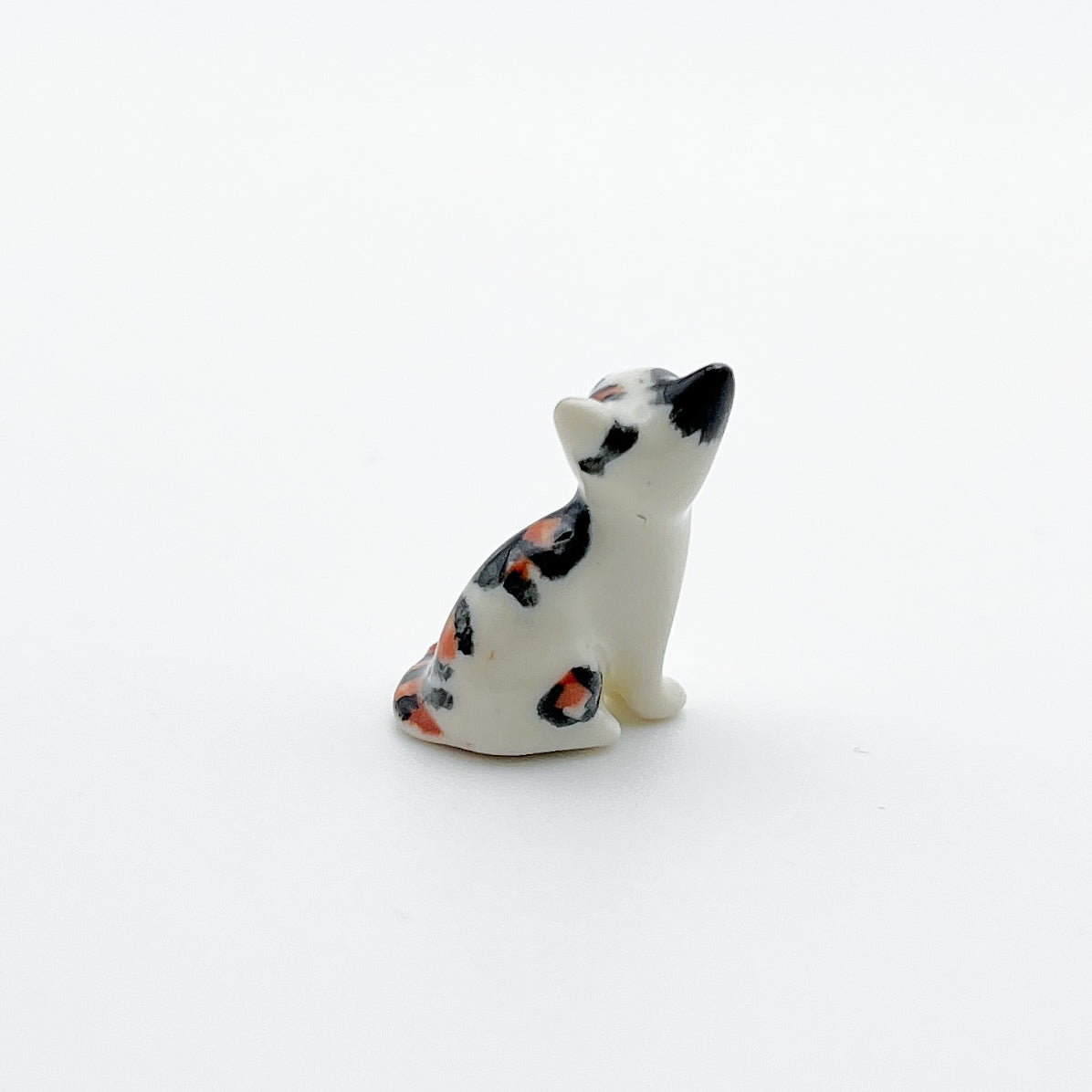 Tiny Tricolor Cat