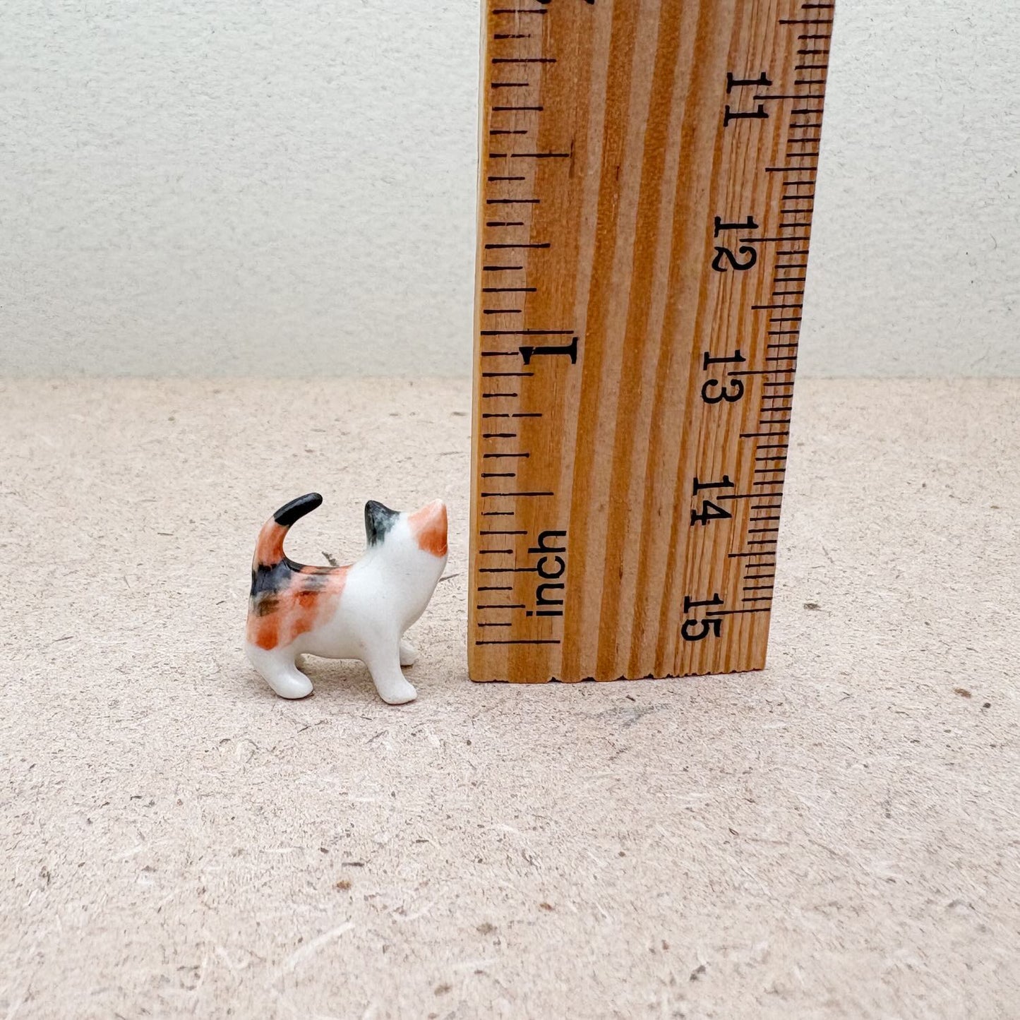 Miniature Calico Cat