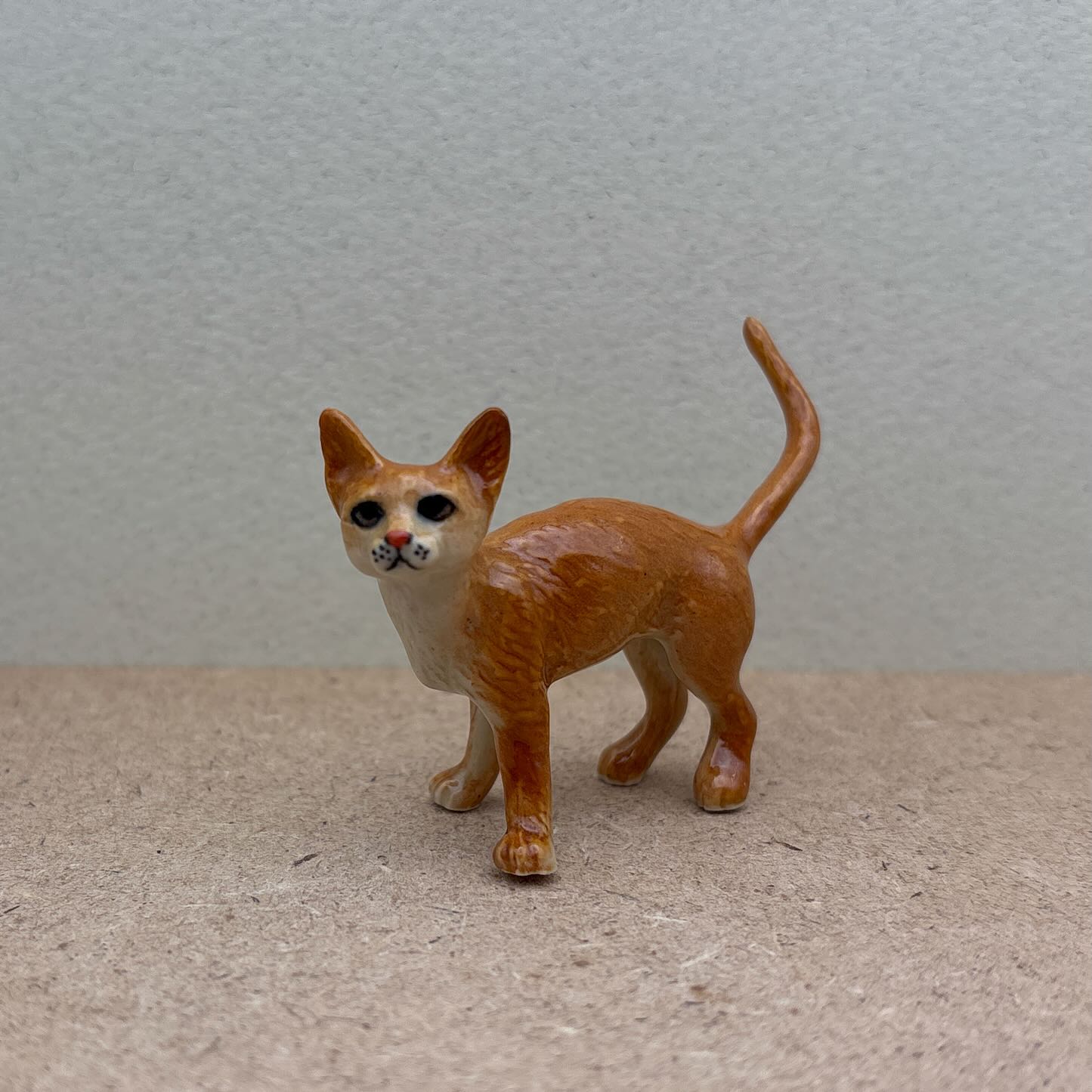 Orange Tabby Cat