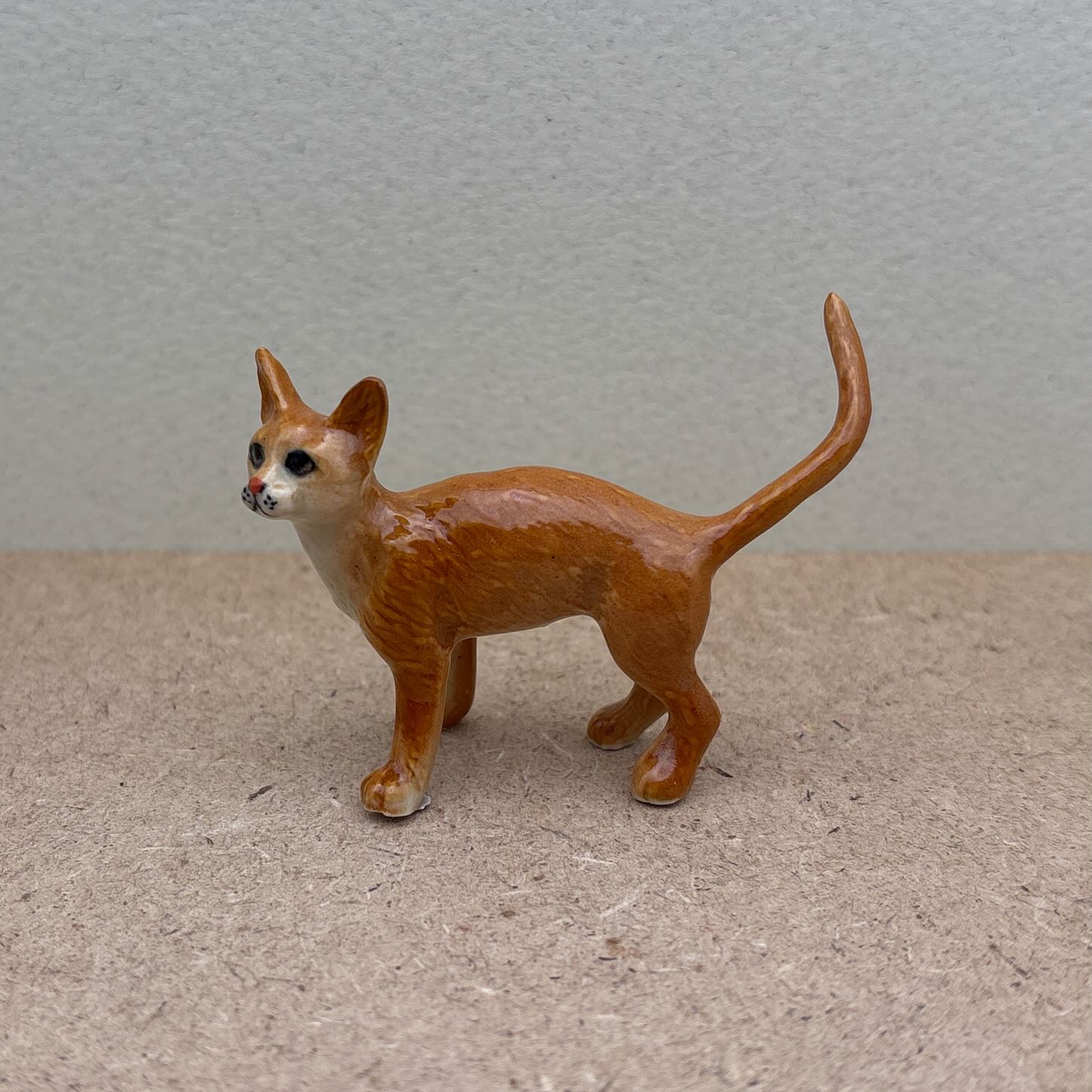 Orange Tabby Cat