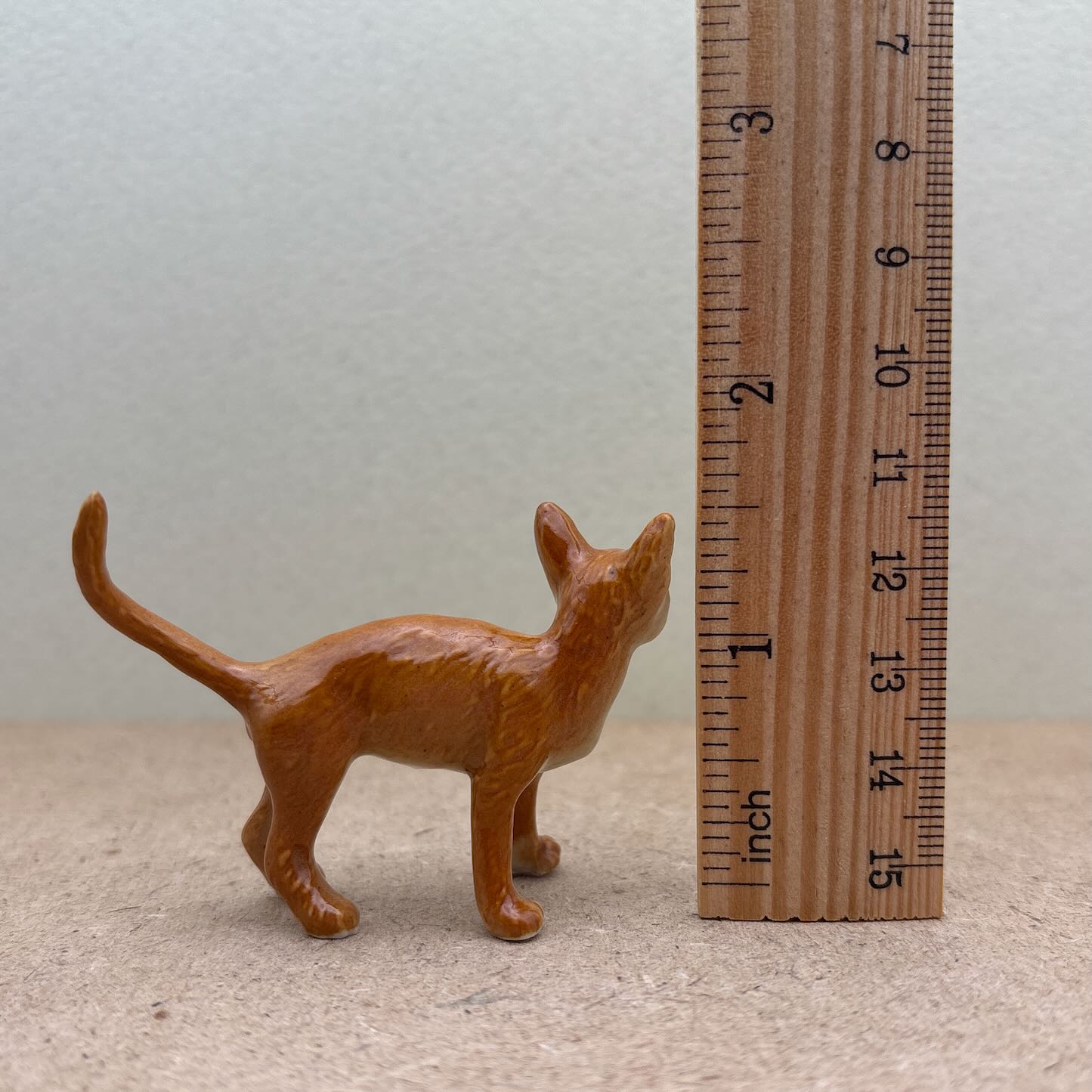 Orange Tabby Cat