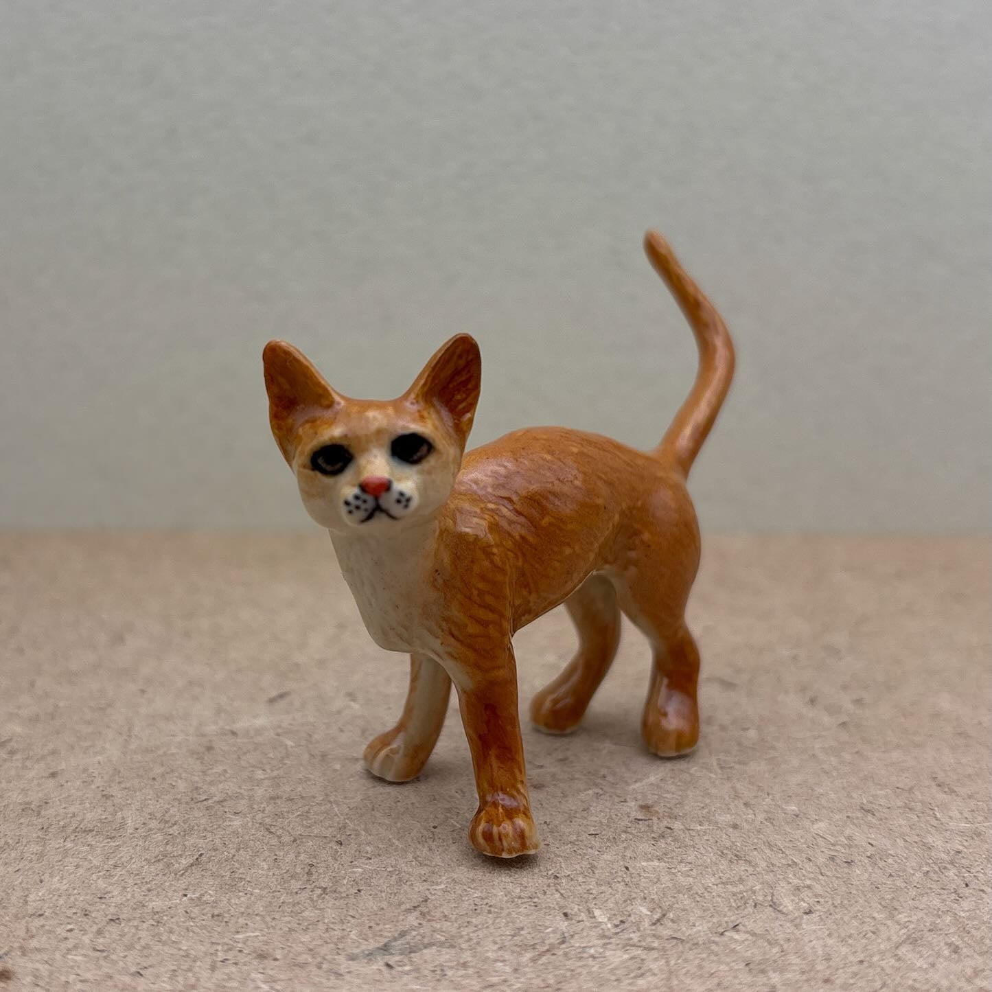 Orange Tabby Cat