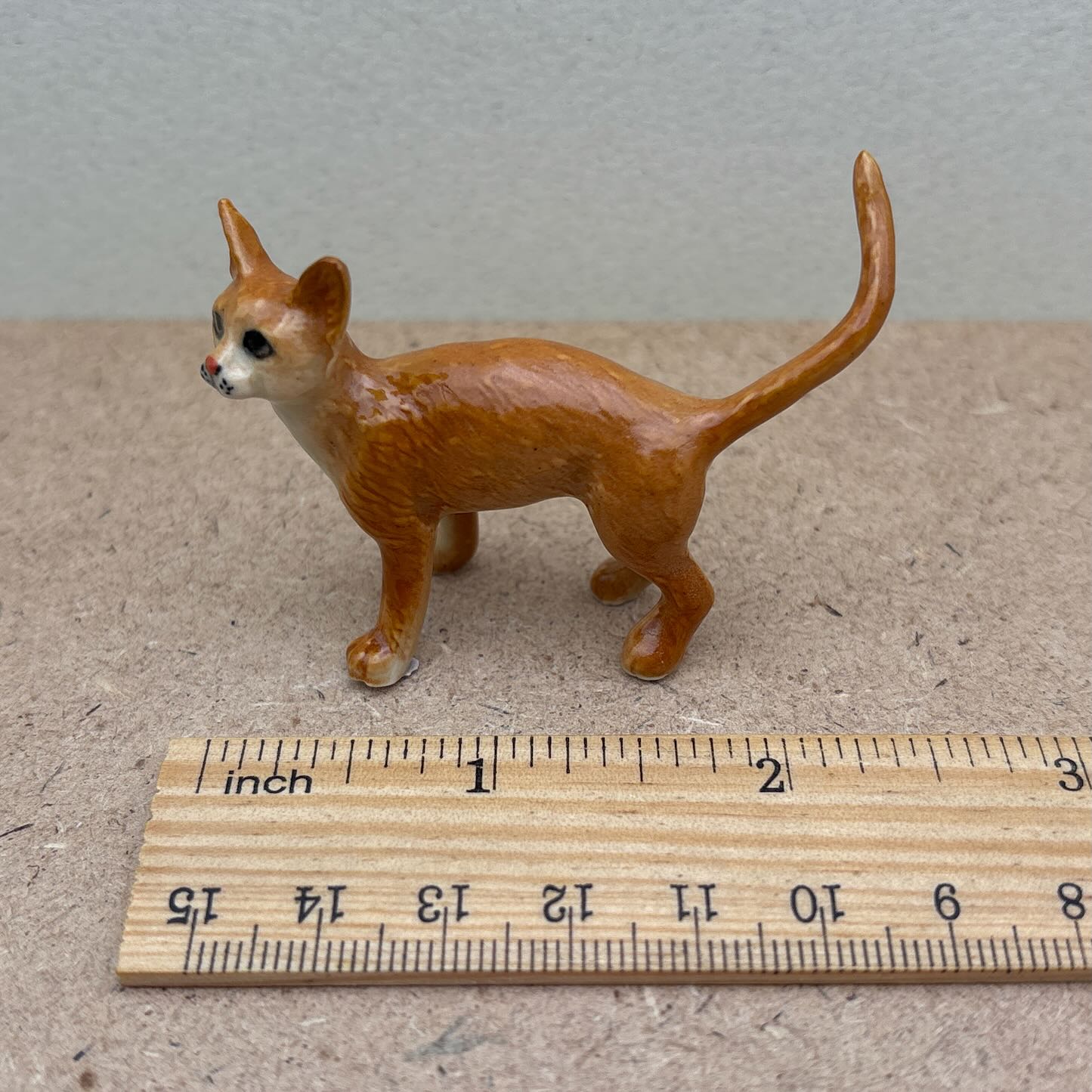 Orange Tabby Cat