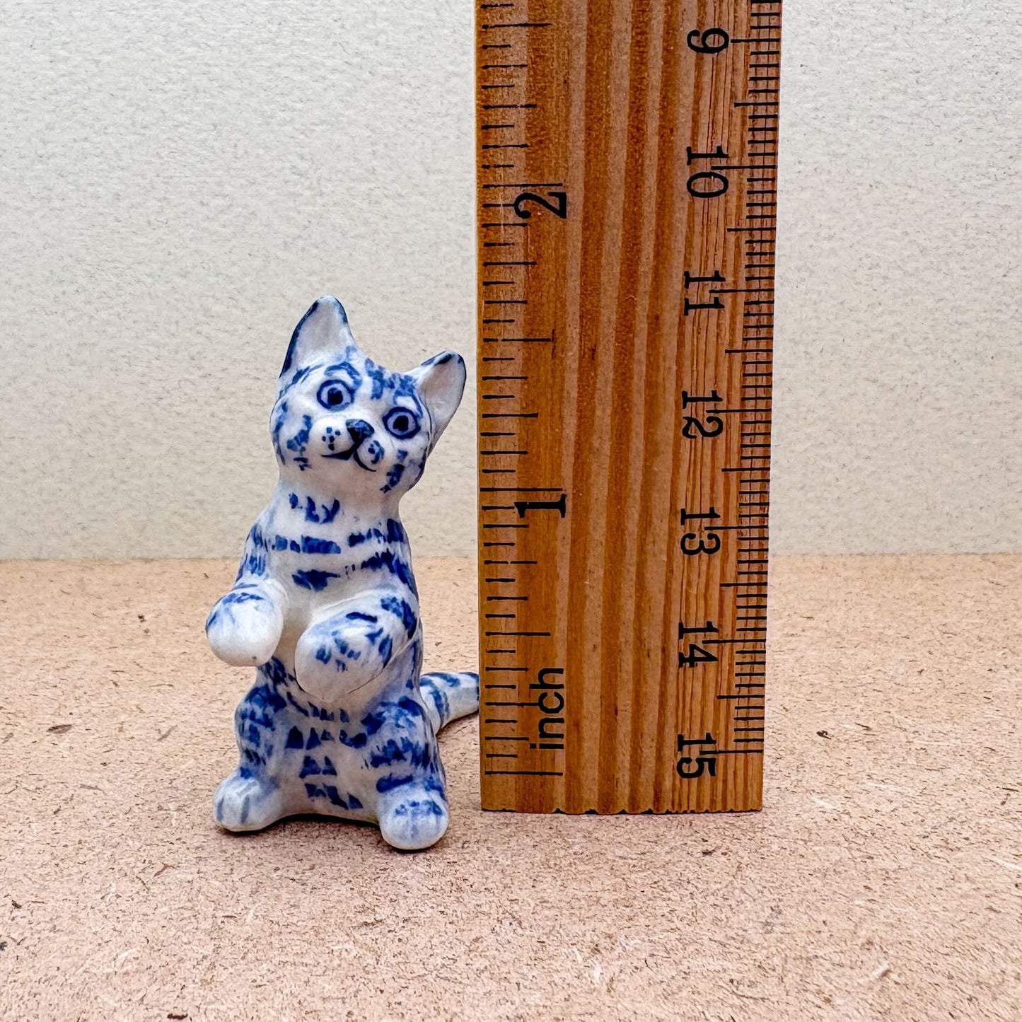 Blue & White Cat