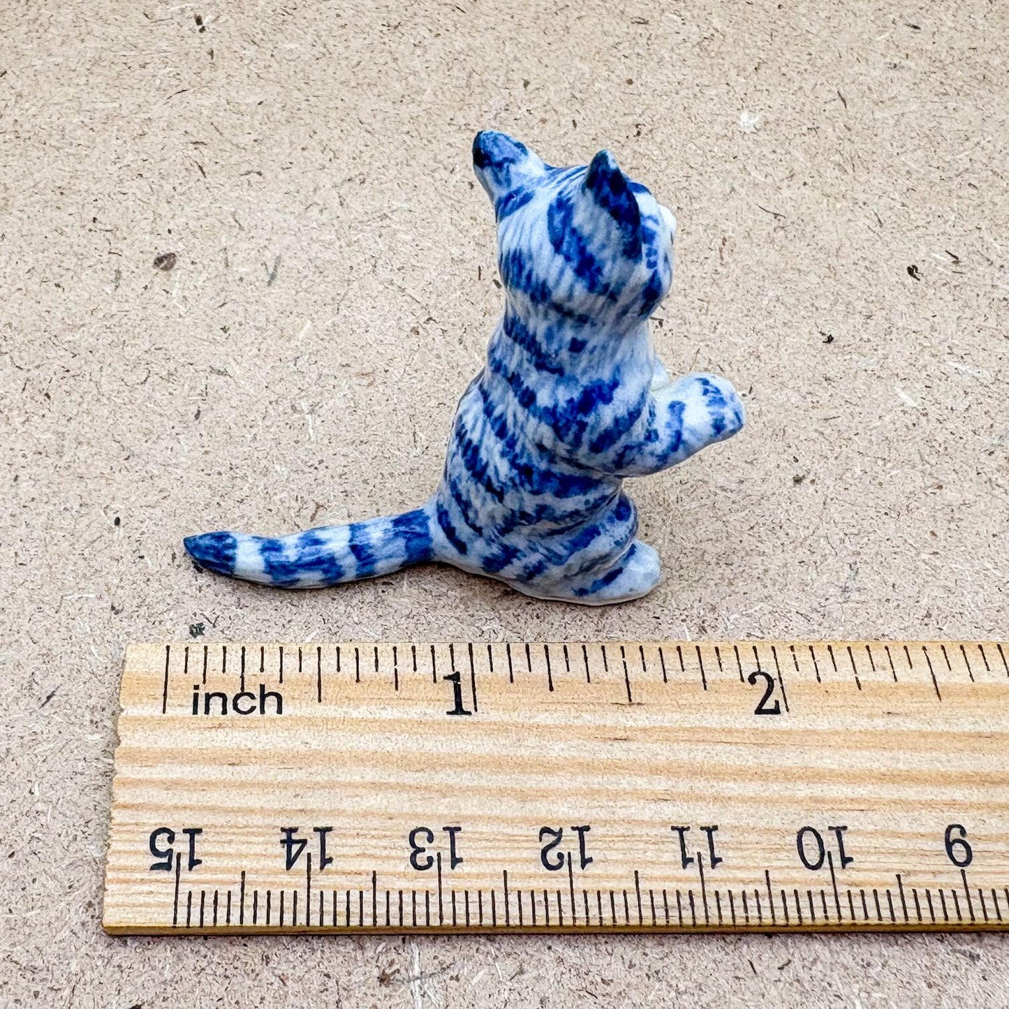 Blue & White Cat