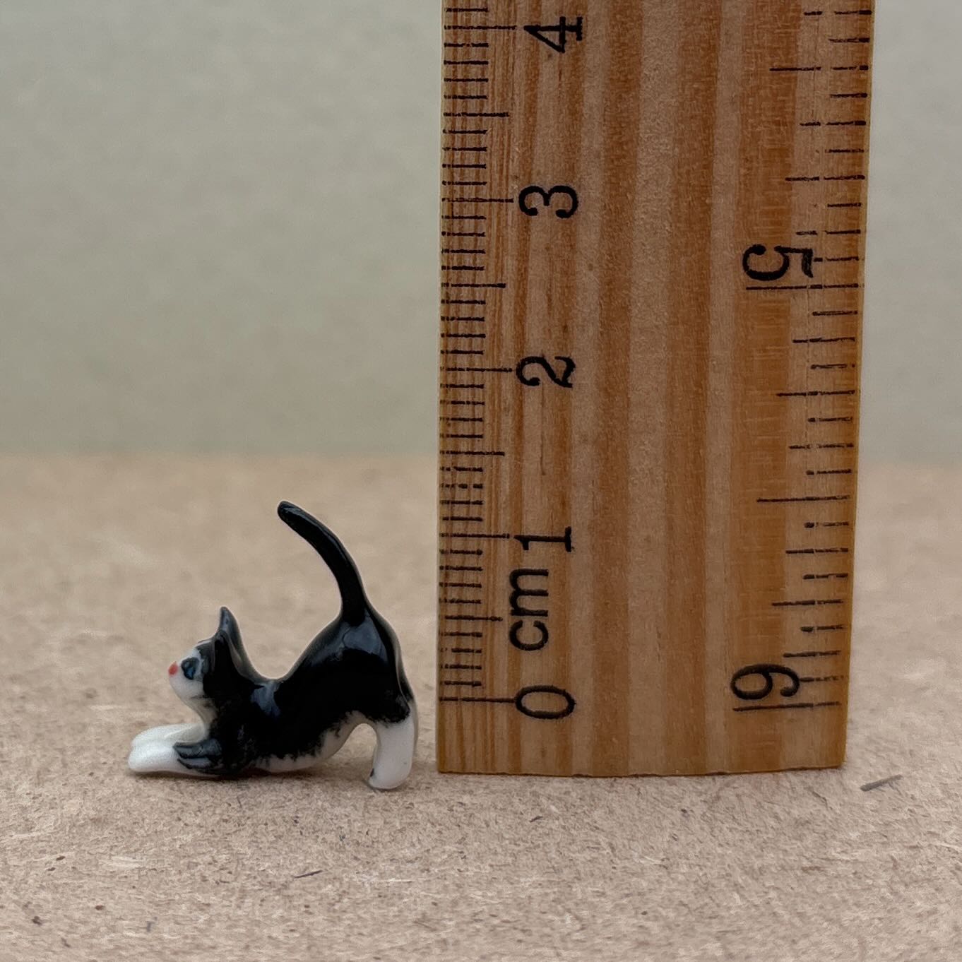 4 Tiny Kittens