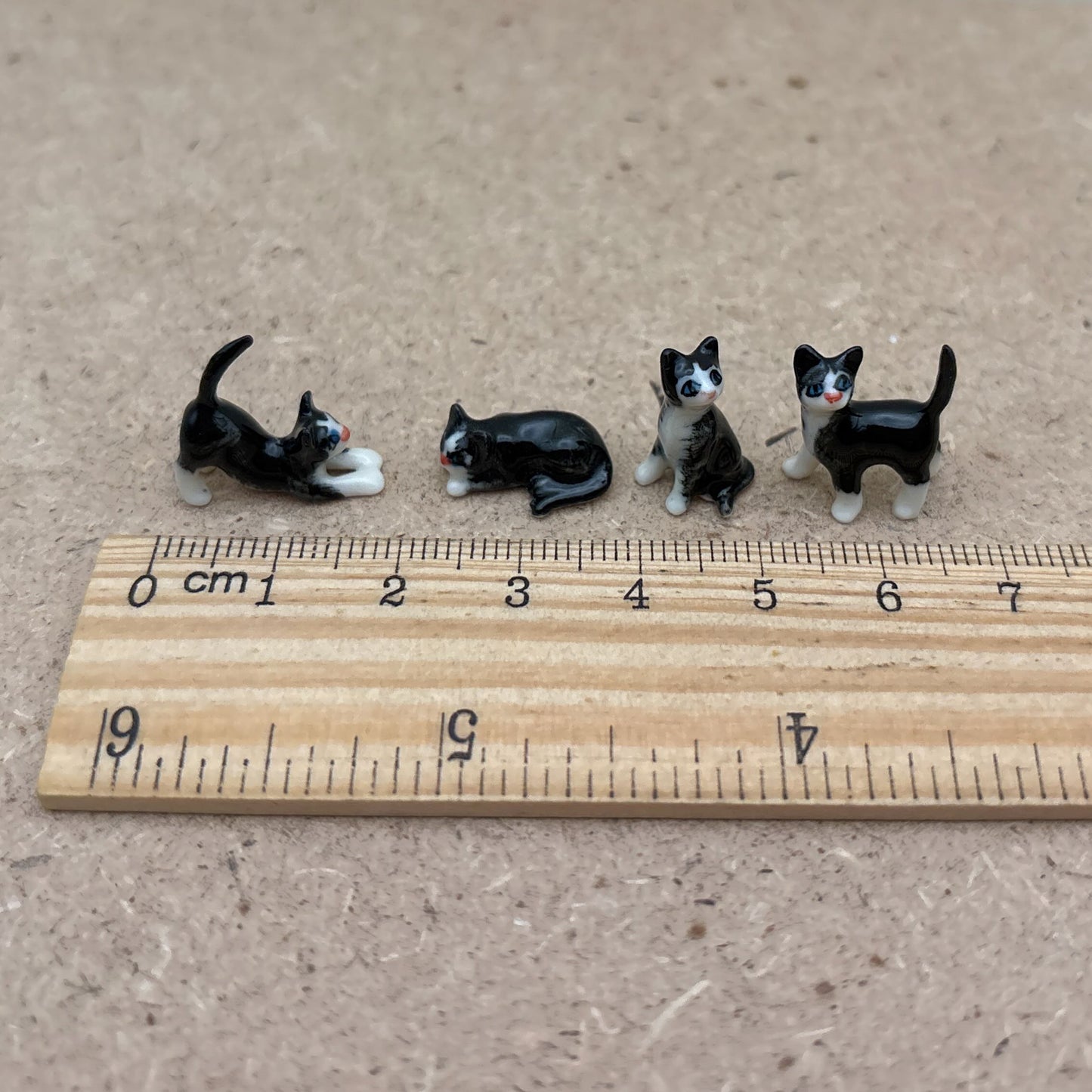 4 Tiny Kittens