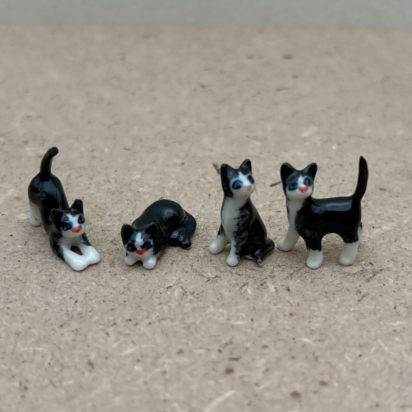 4 Tiny Kittens