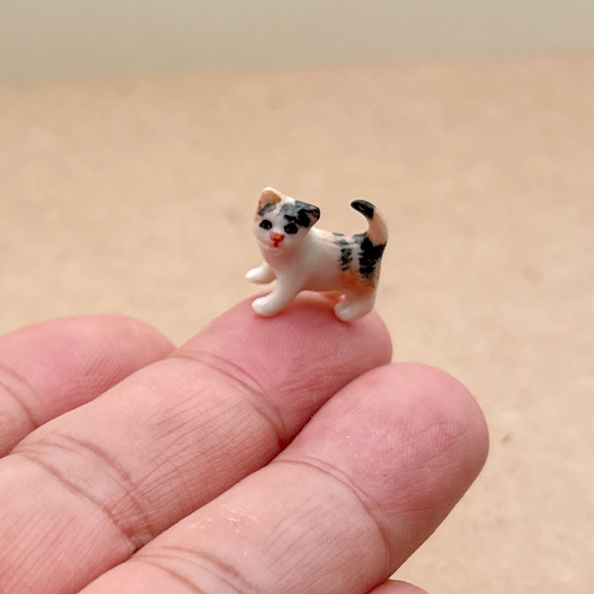 4 Tiny Kittens