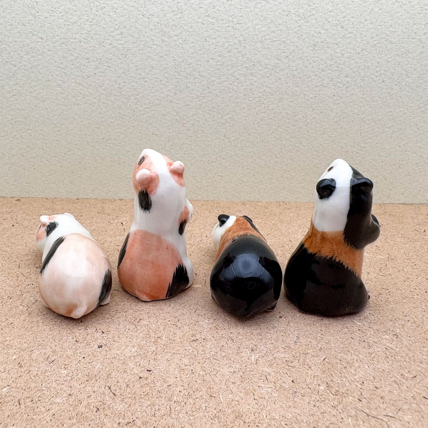 Guinea Pig Set