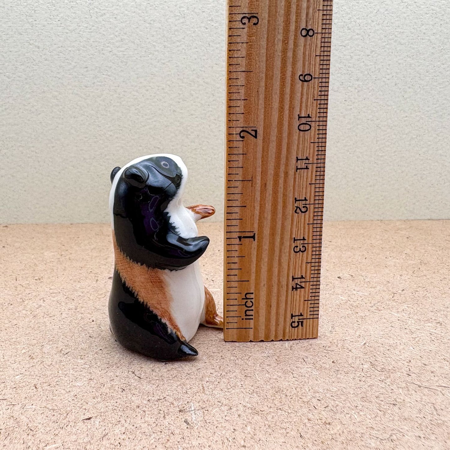 Guinea Pig Set