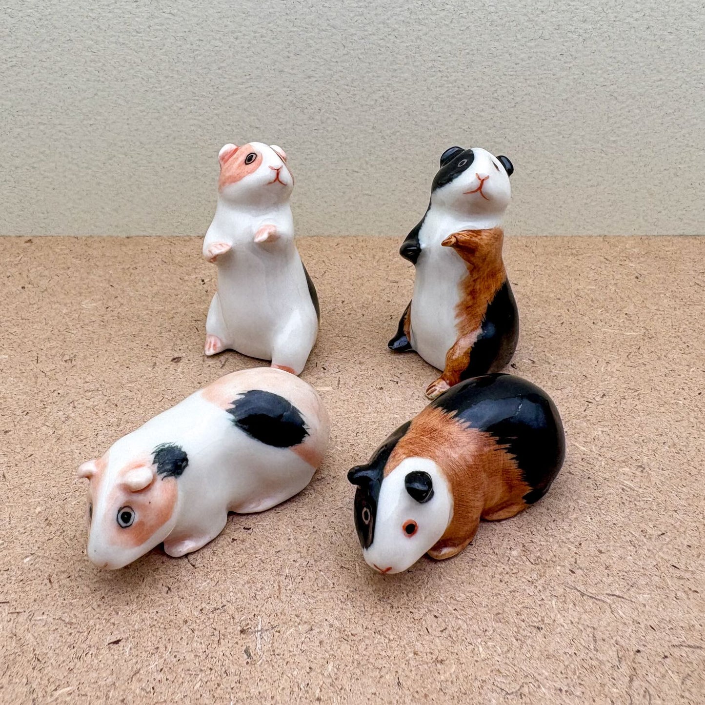 Guinea Pig Set