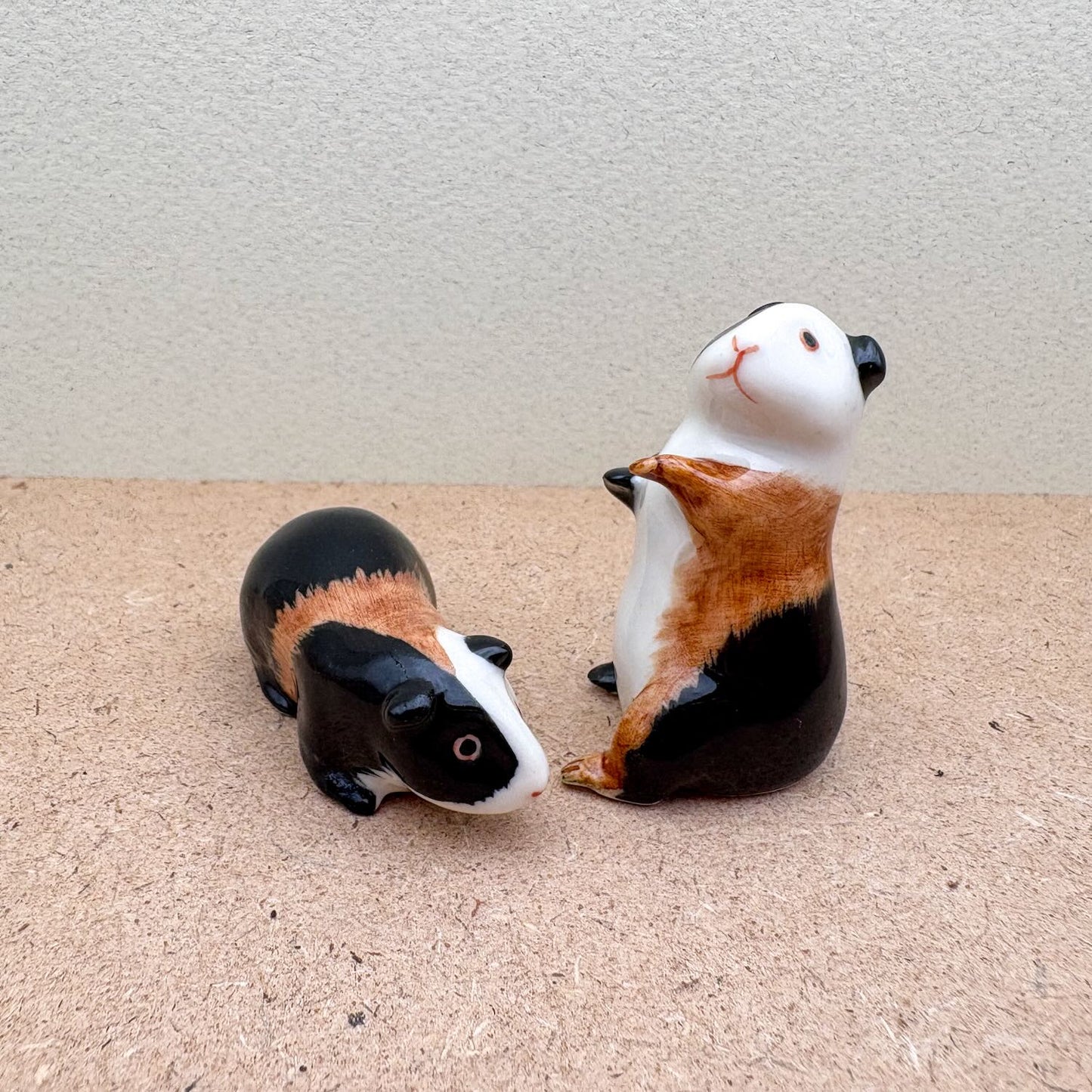 Guinea Pig Set