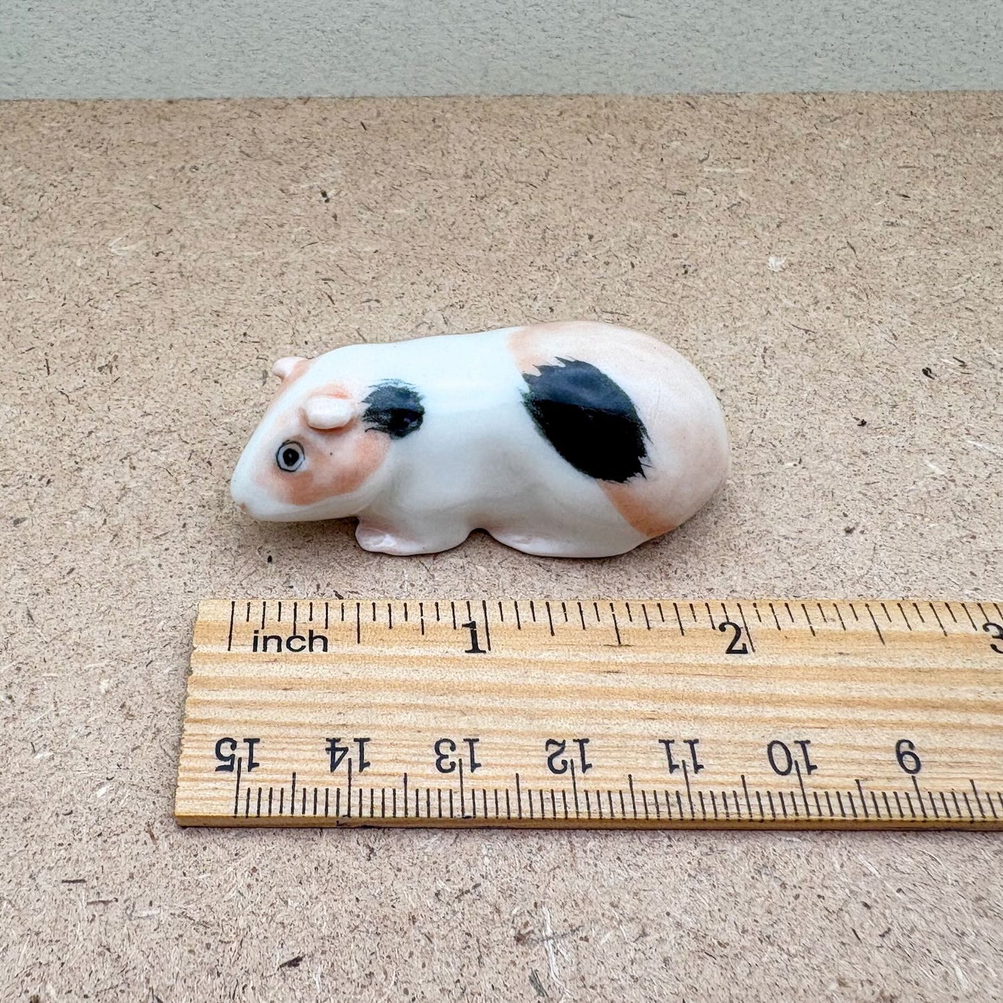 Guinea Pig Set