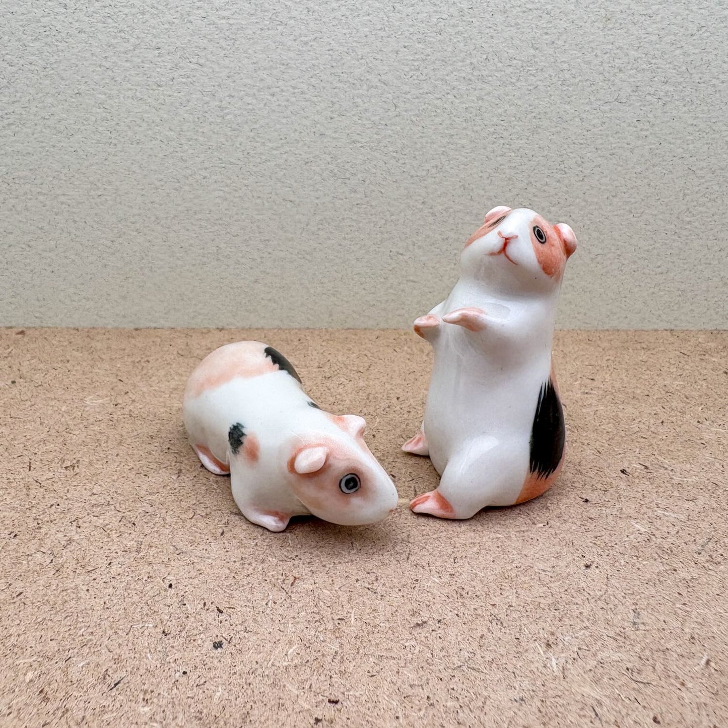 Guinea Pig Set