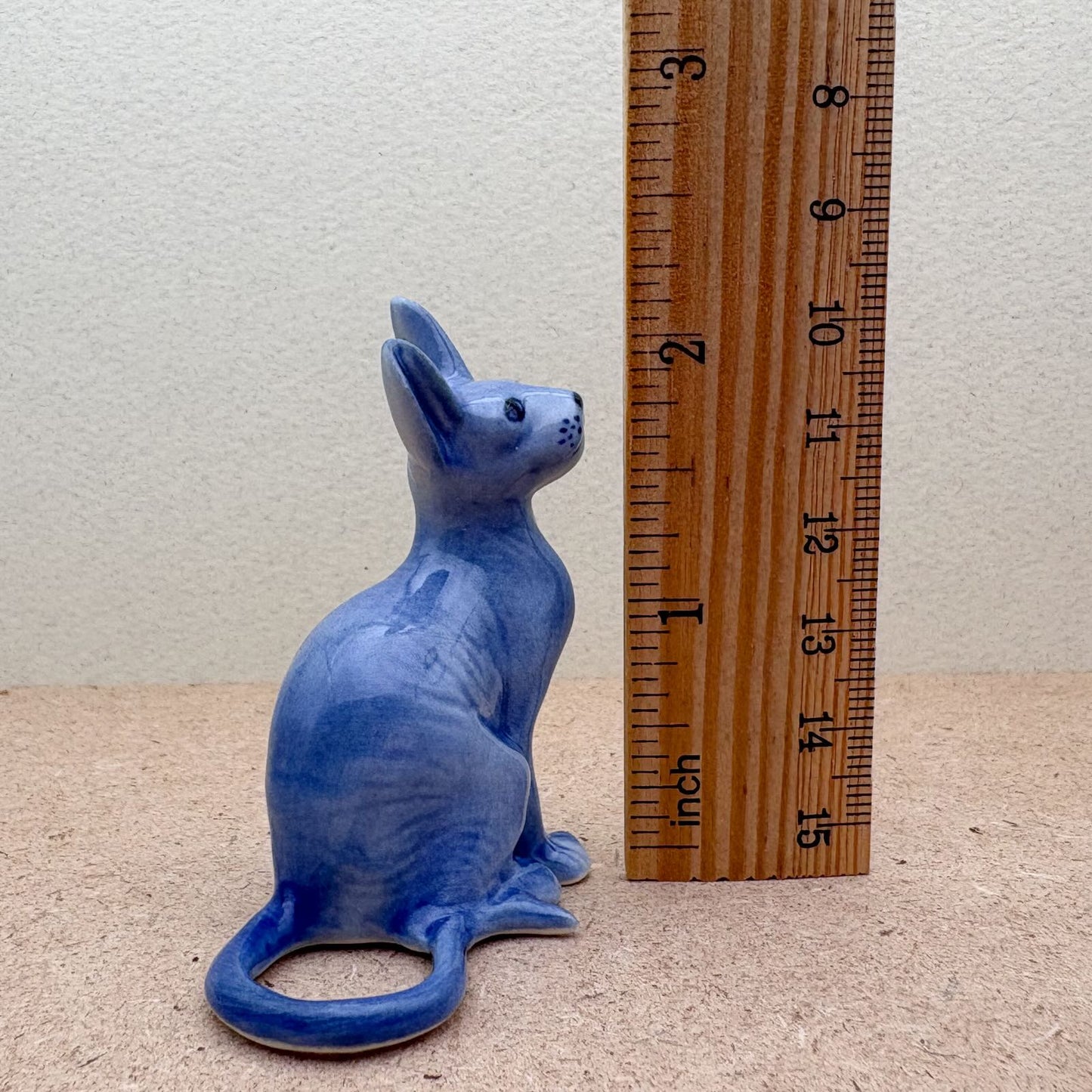 Blue Sphynx Cat