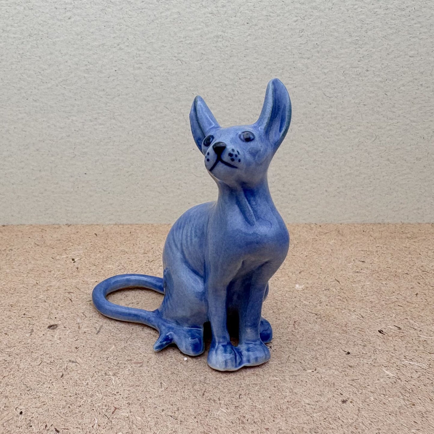 Blue Sphynx Cat