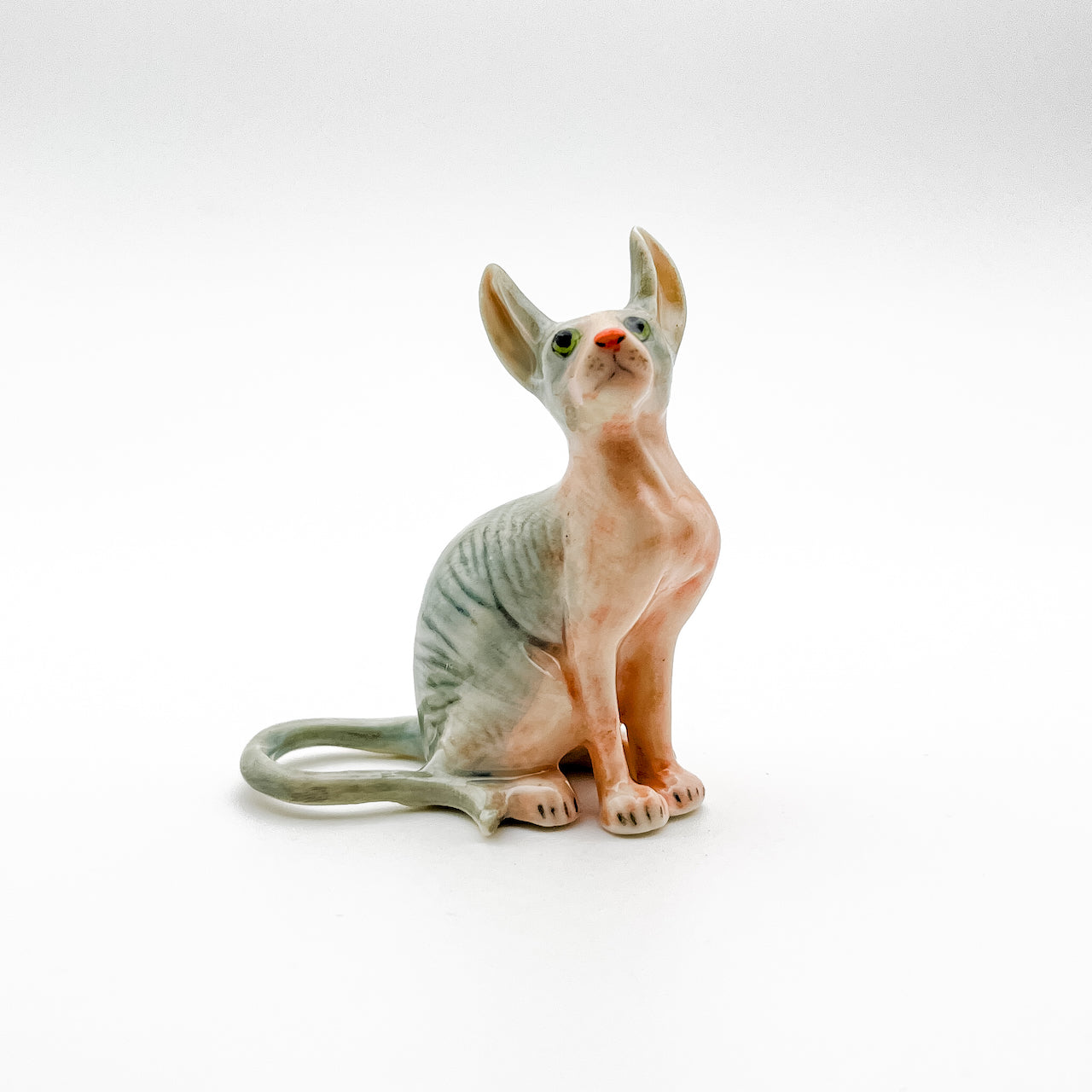 Enchanted Sphynx