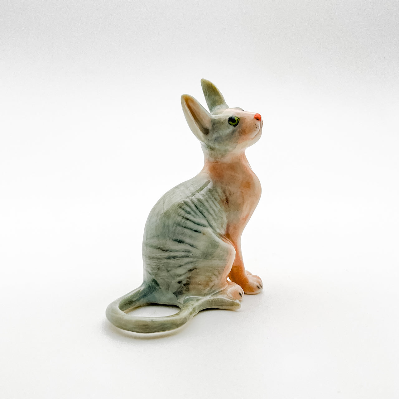 Enchanted Sphynx