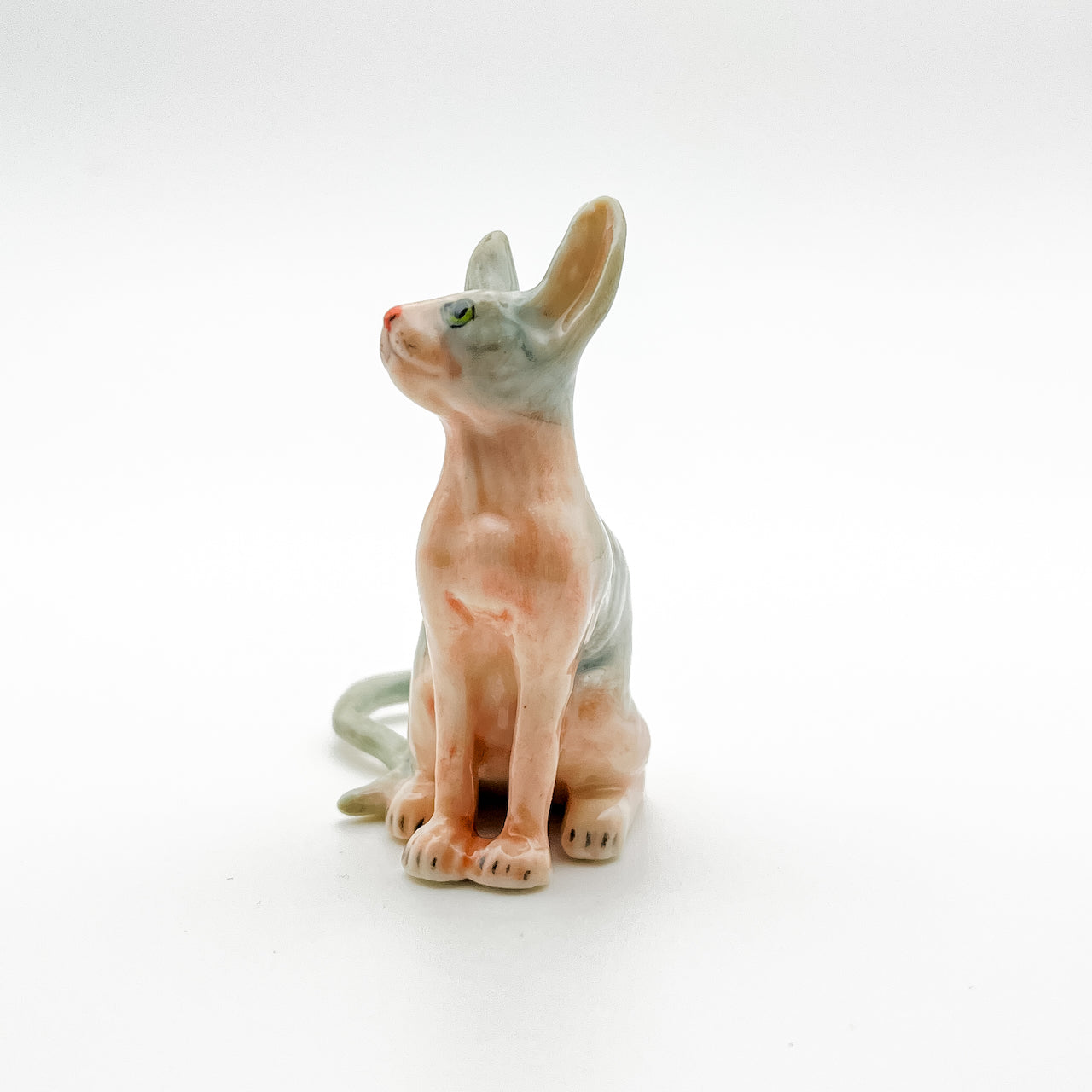 Enchanted Sphynx