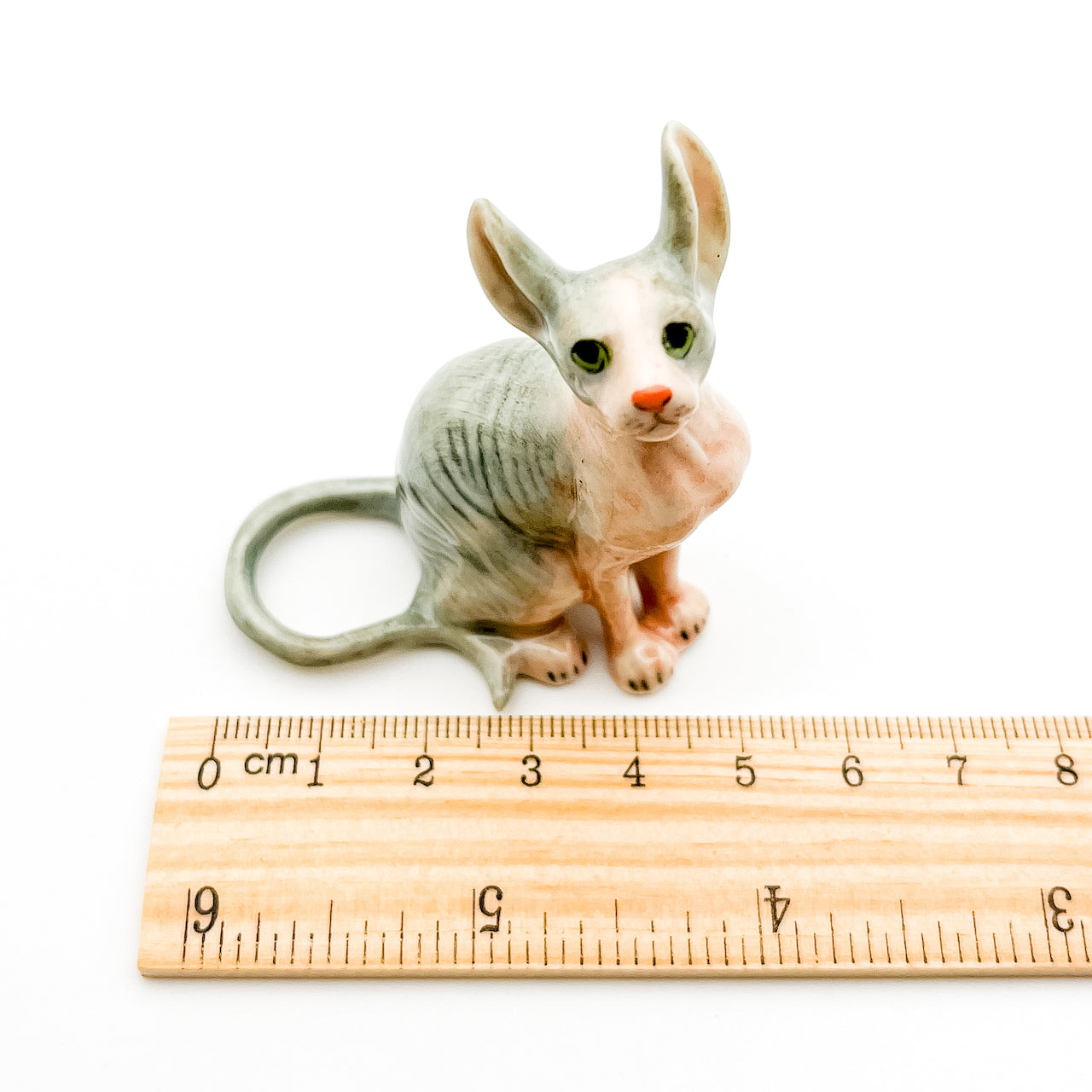 Enchanted Sphynx