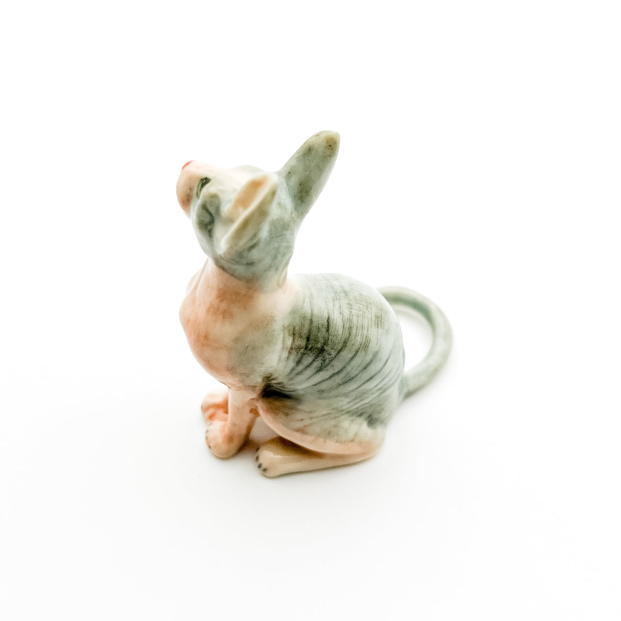 Enchanted Sphynx