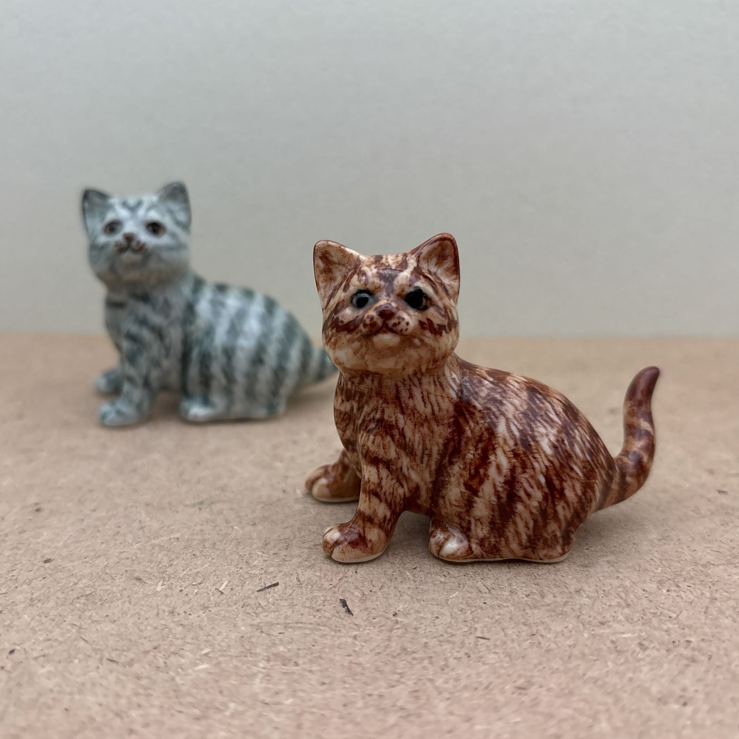 Tabby Cat