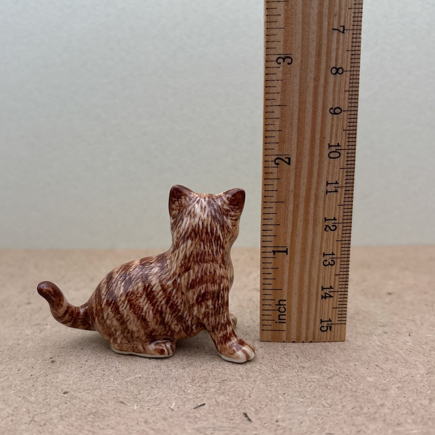 Tabby Cat
