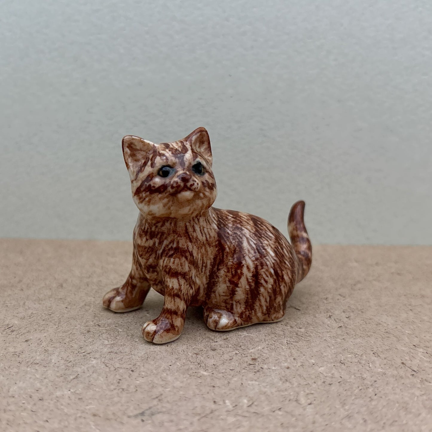 Tabby Cat