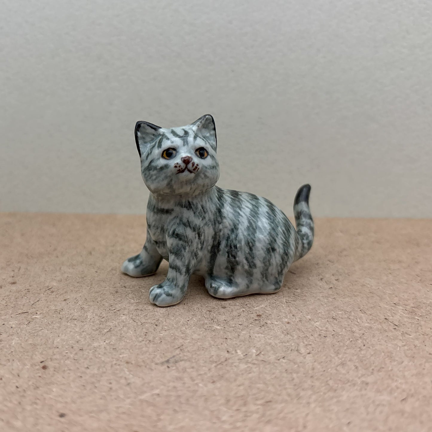 Tabby Cat