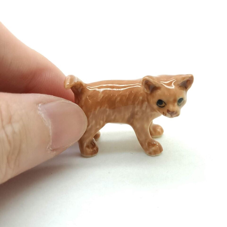 Kitten Cat