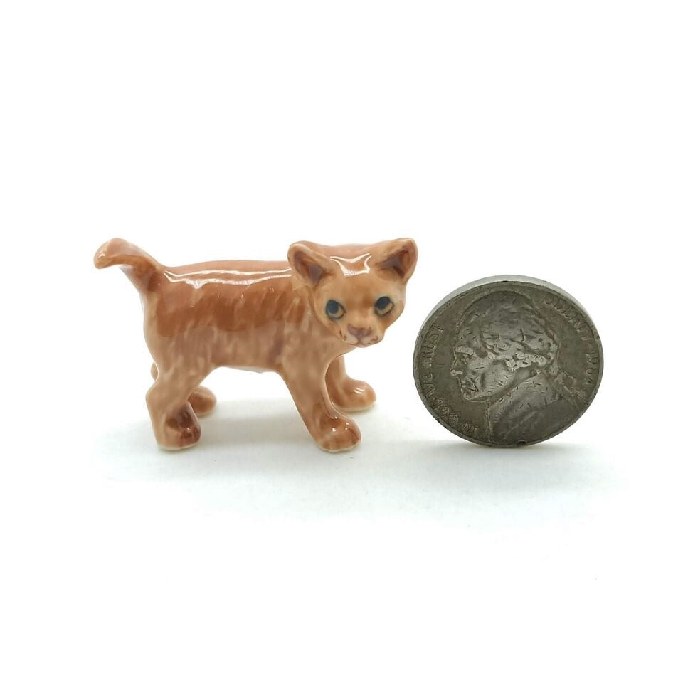 Kitten Cat